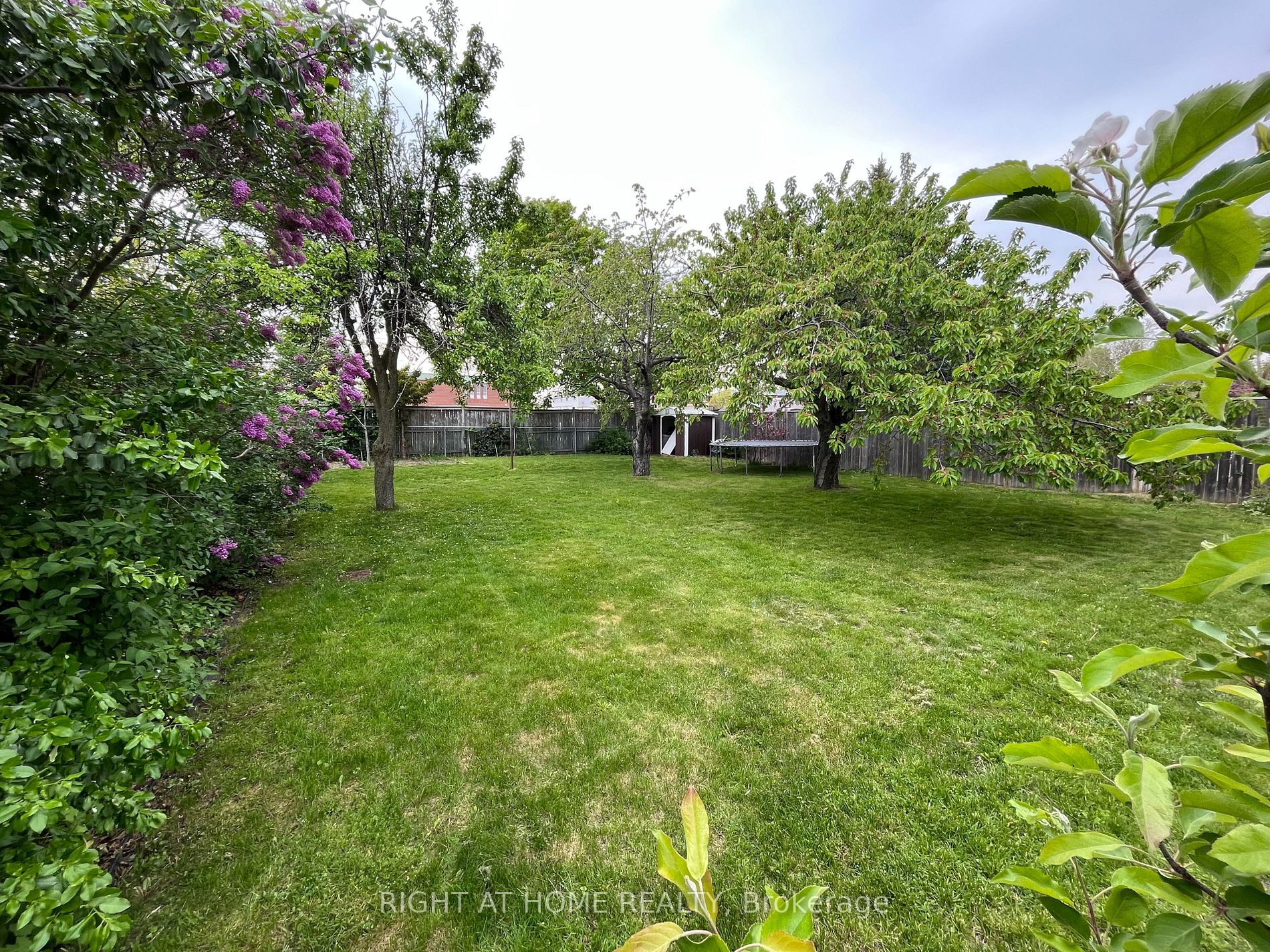 Listing W5997556 - Large Photo # 38