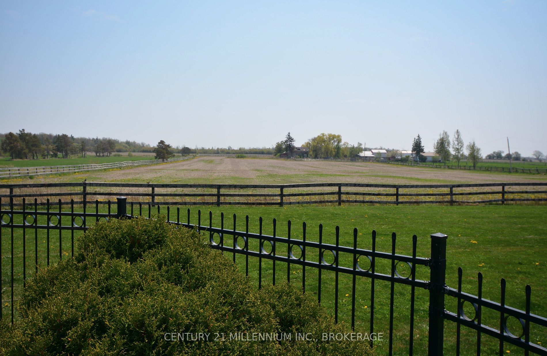 Listing W6001999 - Large Photo # 5