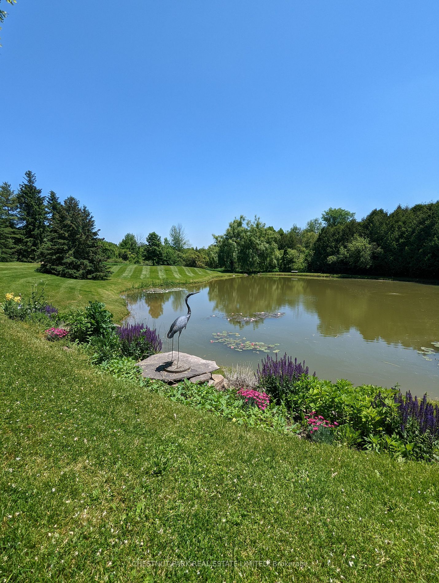 Listing W6003788 - Large Photo # 25