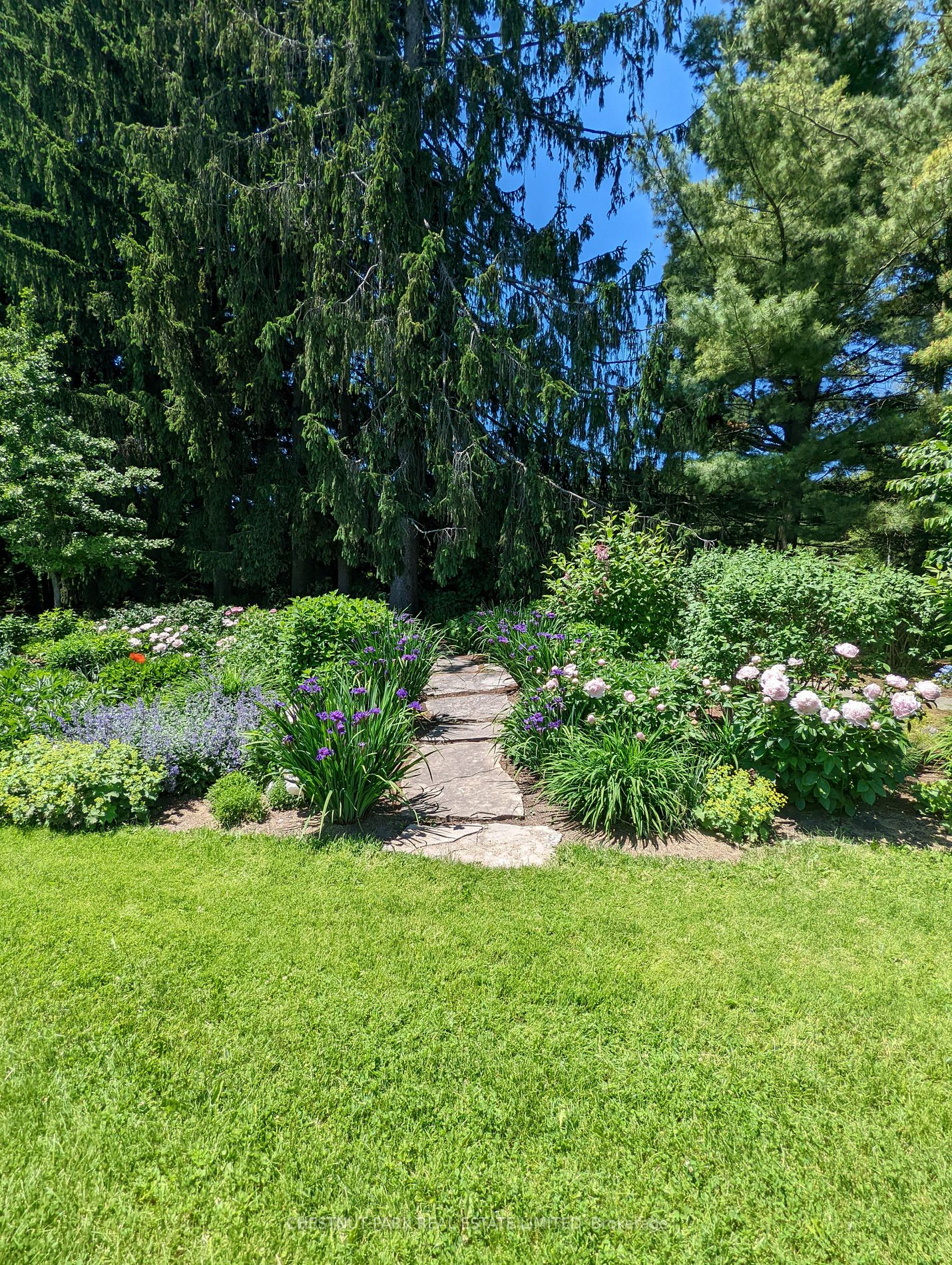 Listing W6003788 - Large Photo # 28