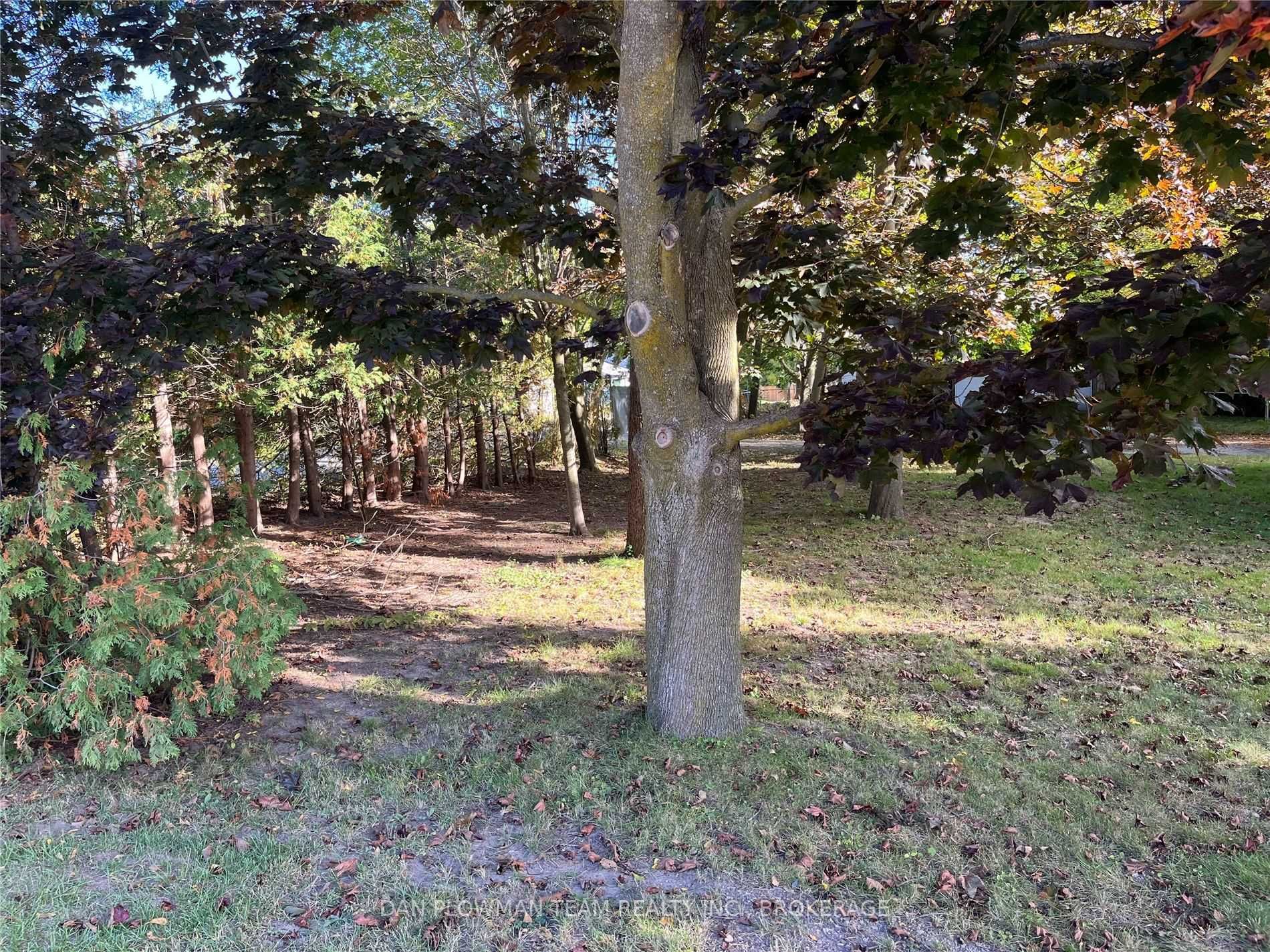 Listing W6006069 - Large Photo # 3