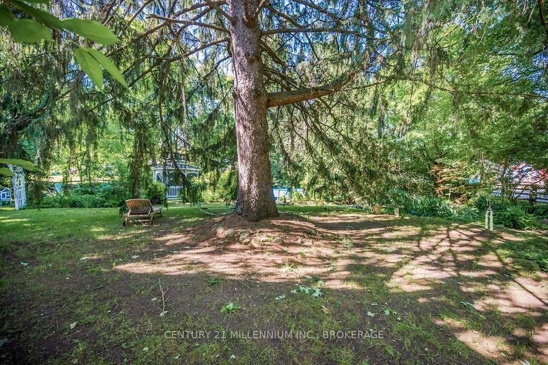Listing W6006767 - Large Photo # 7