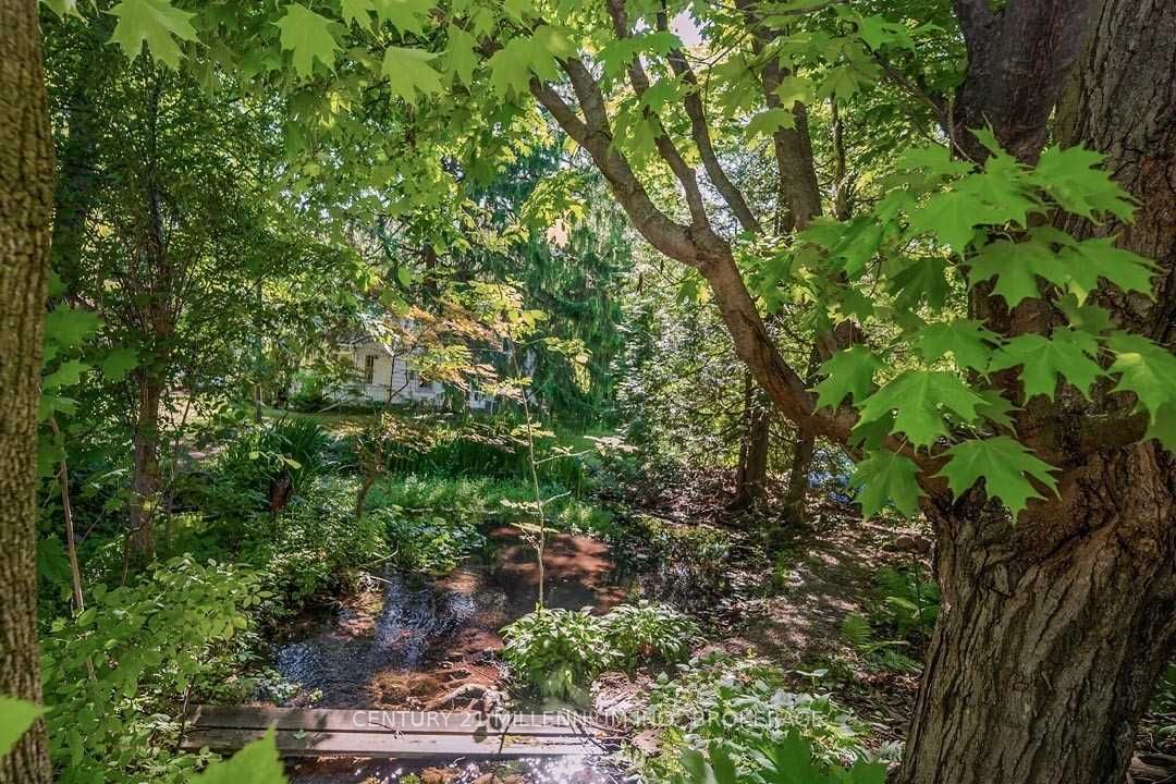 Listing W6006767 - Large Photo # 37