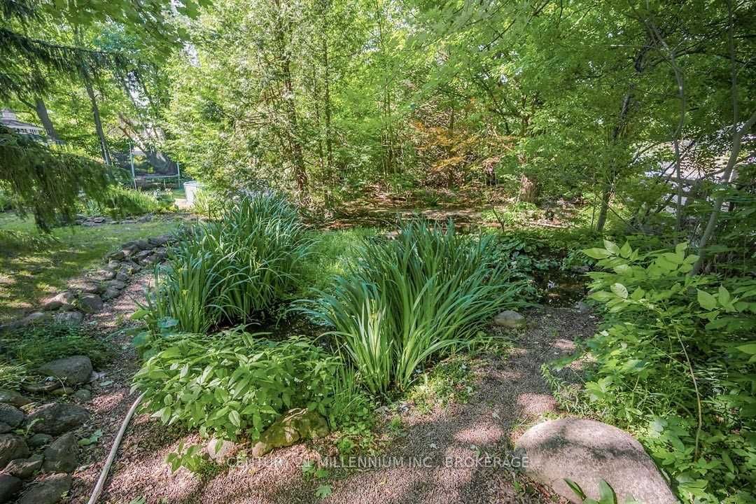 Listing W6006767 - Large Photo # 36