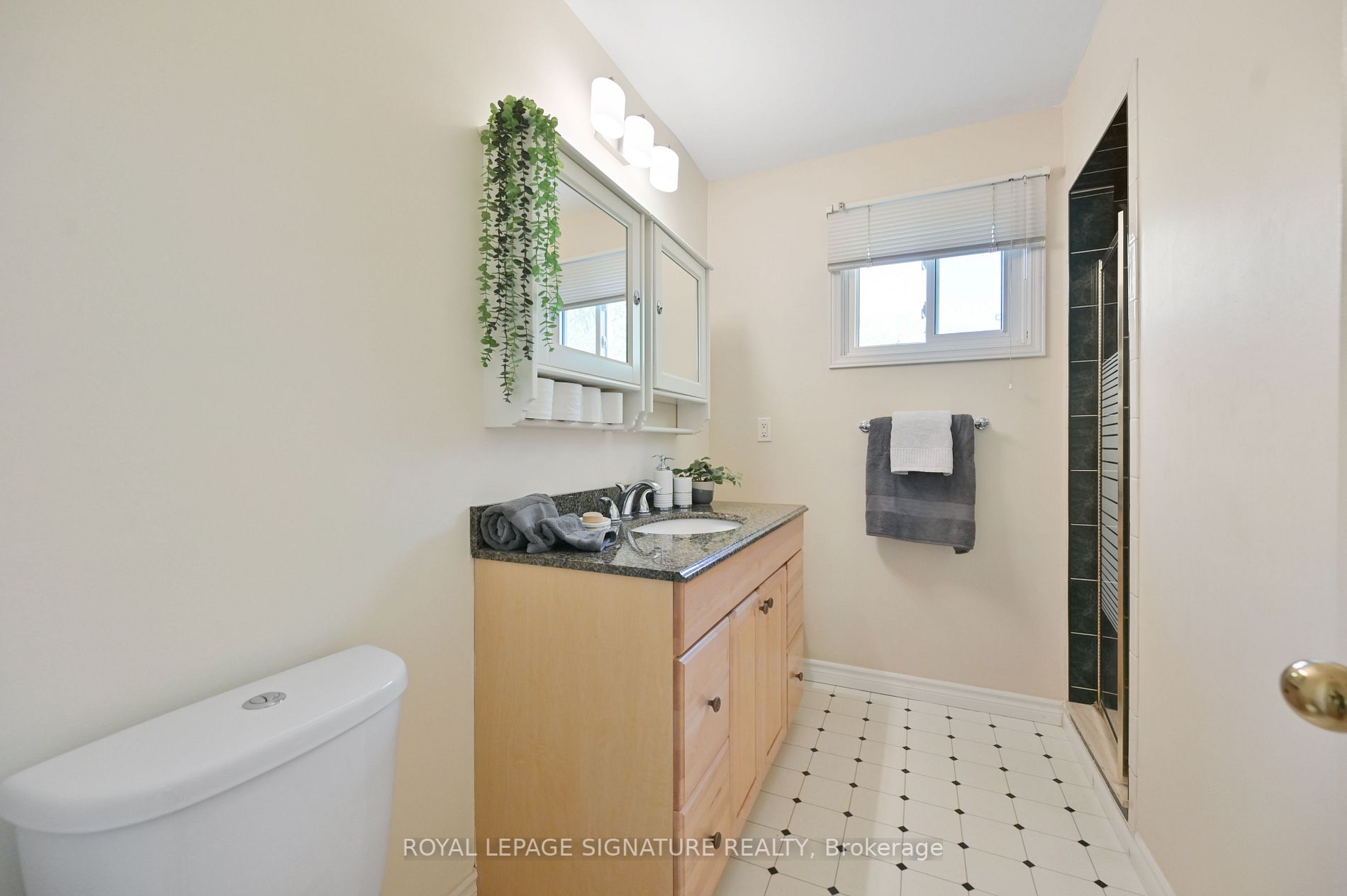 Listing W6012632 - Large Photo # 27