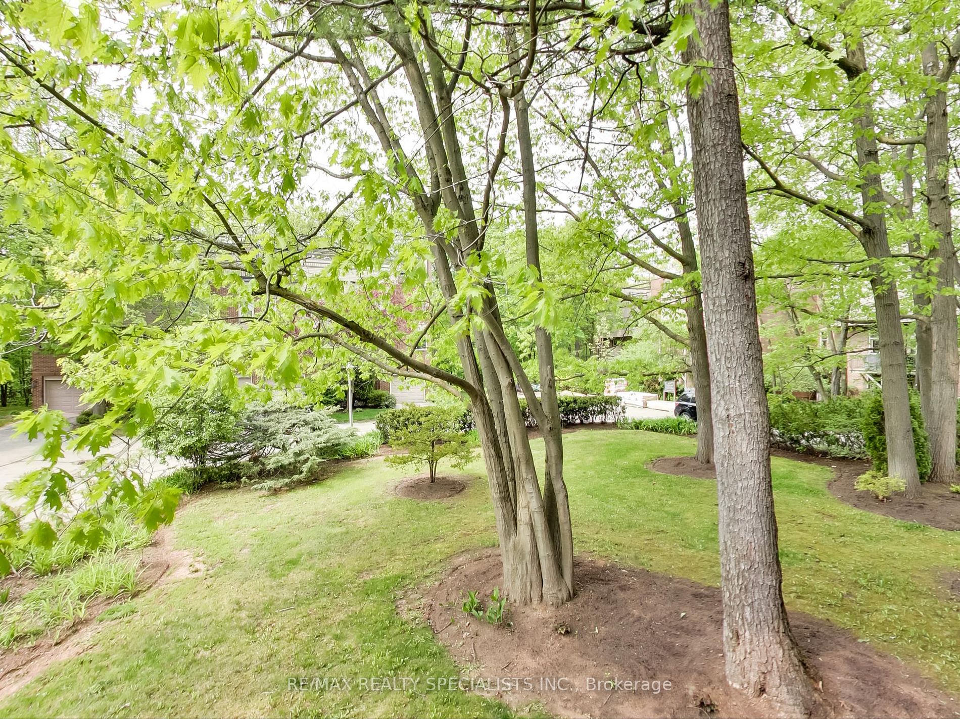 Listing W6012688 - Large Photo # 12