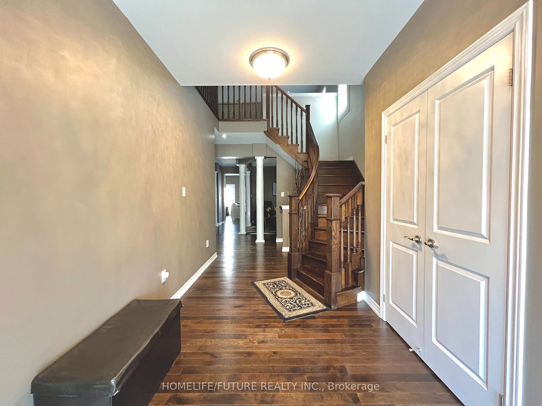 65 Lola Cres