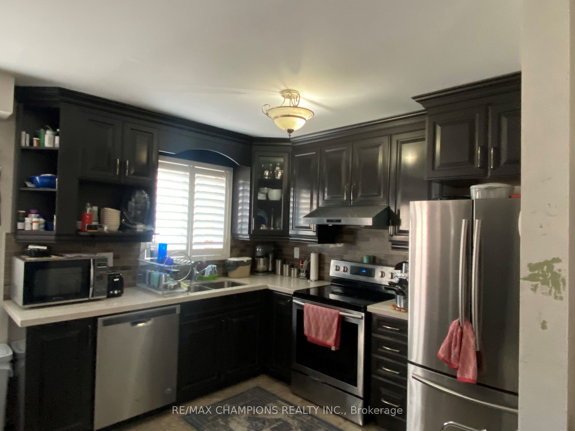 117 Willow Park Dr
