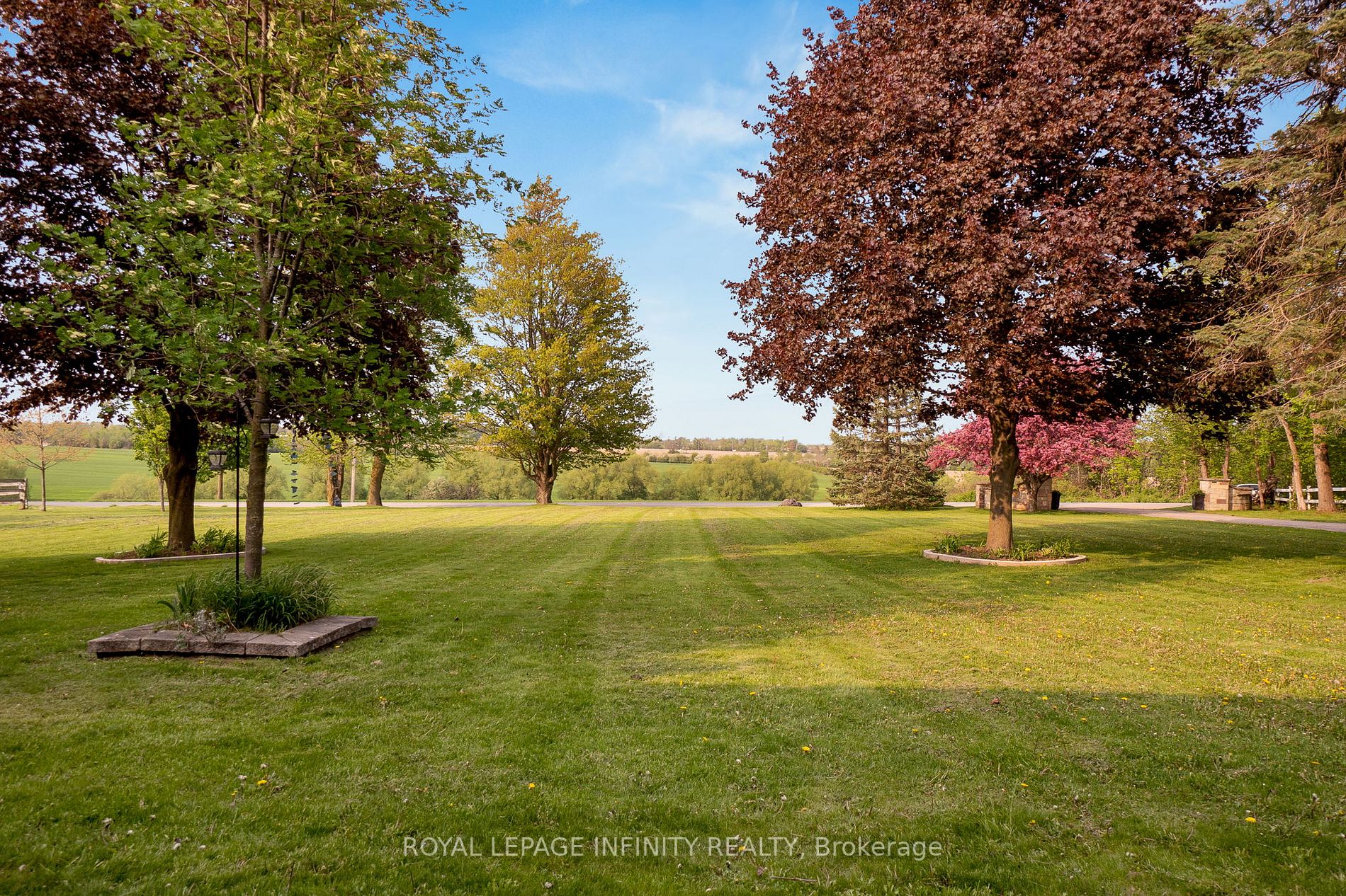 Listing W6016660 - Large Photo # 5
