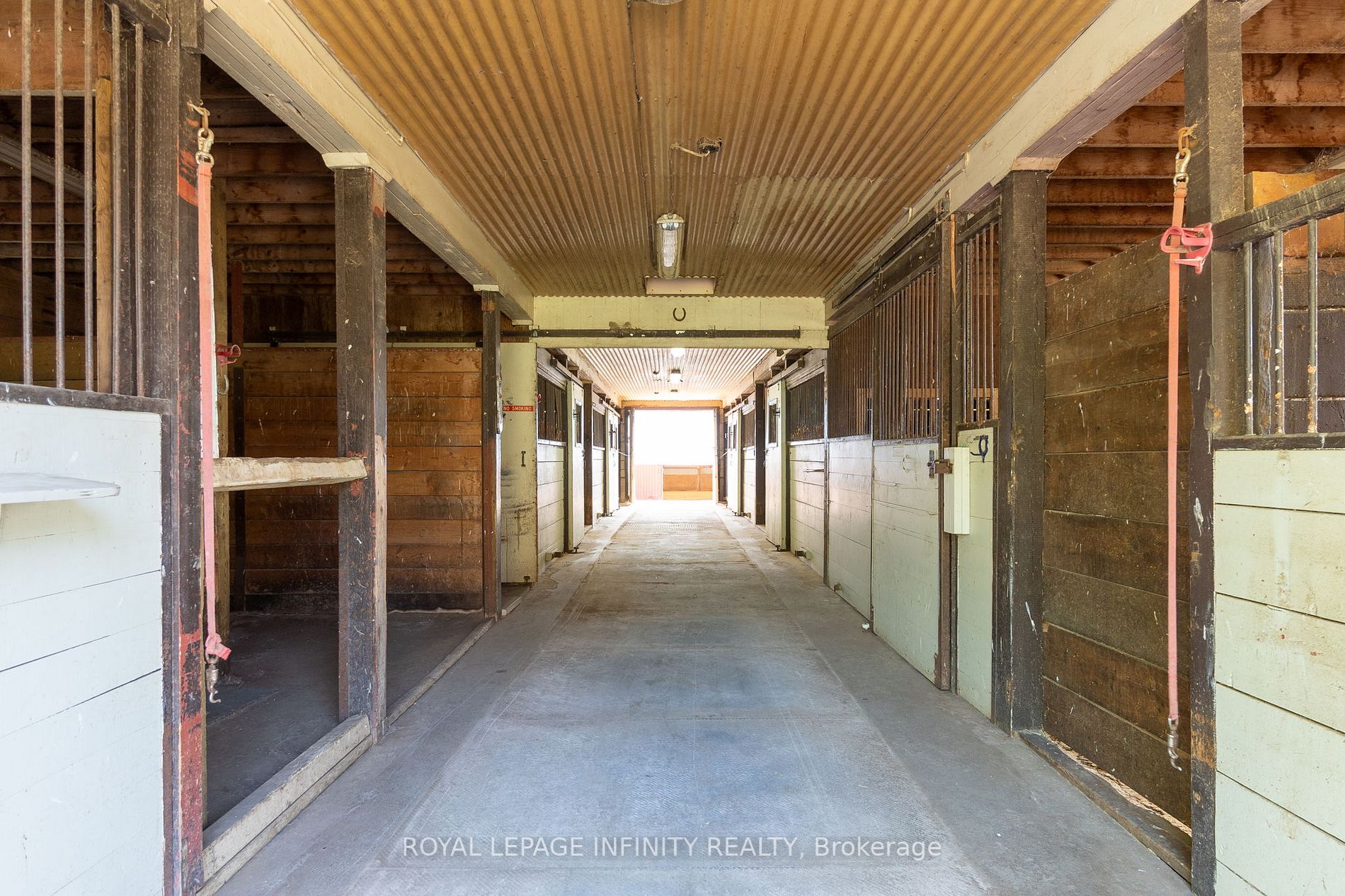 Listing W6016660 - Large Photo # 27