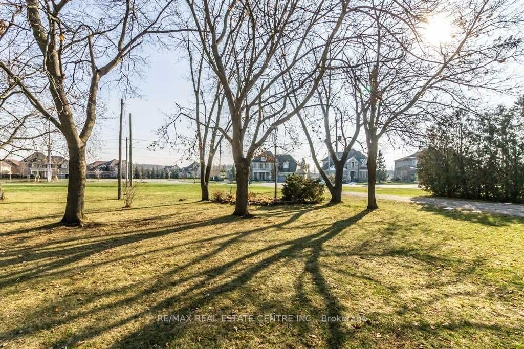 Listing W6017044 - Large Photo # 24
