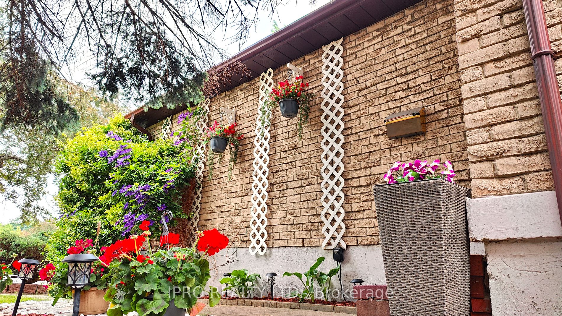 Listing W6021920 - Large Photo # 3