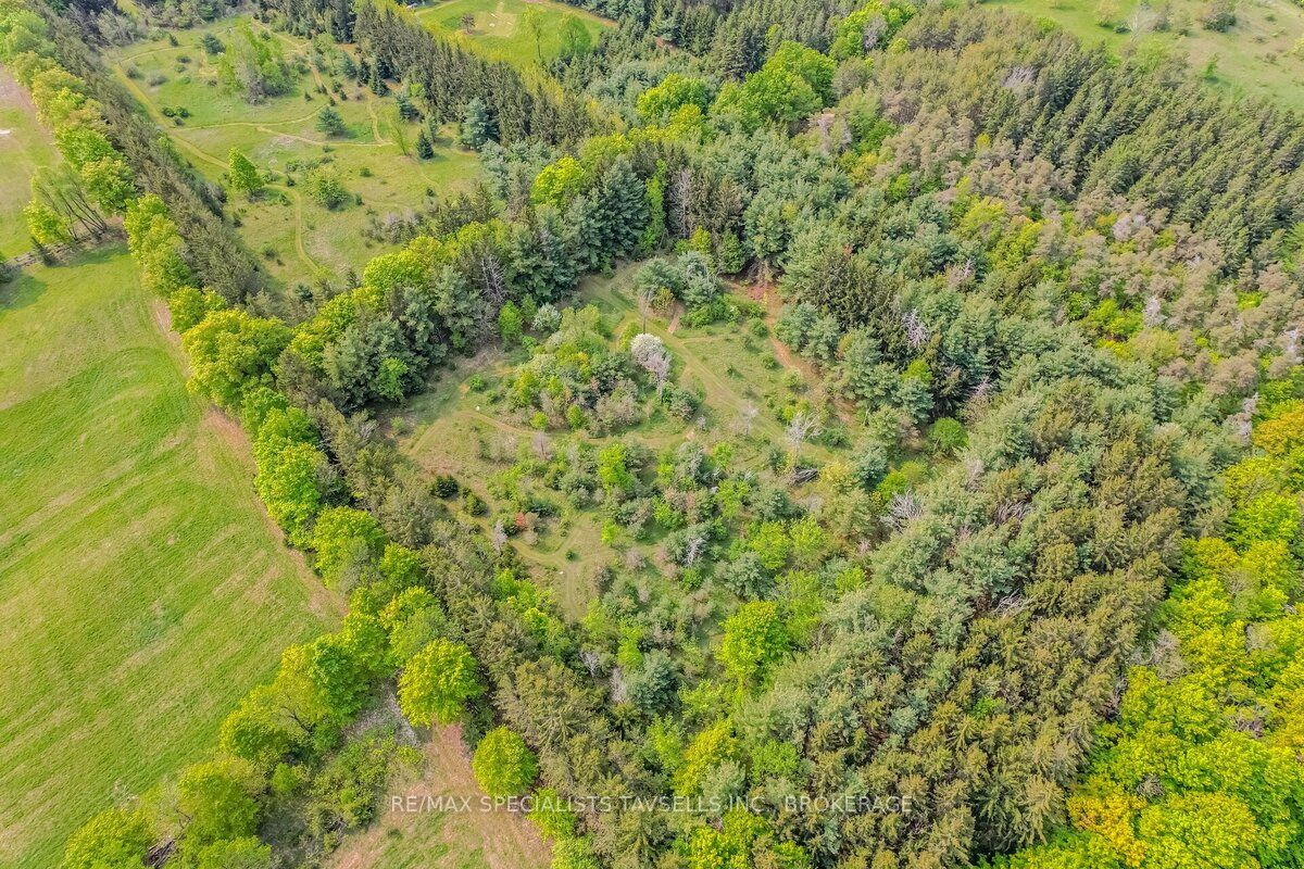 Listing W6022211 - Large Photo # 38
