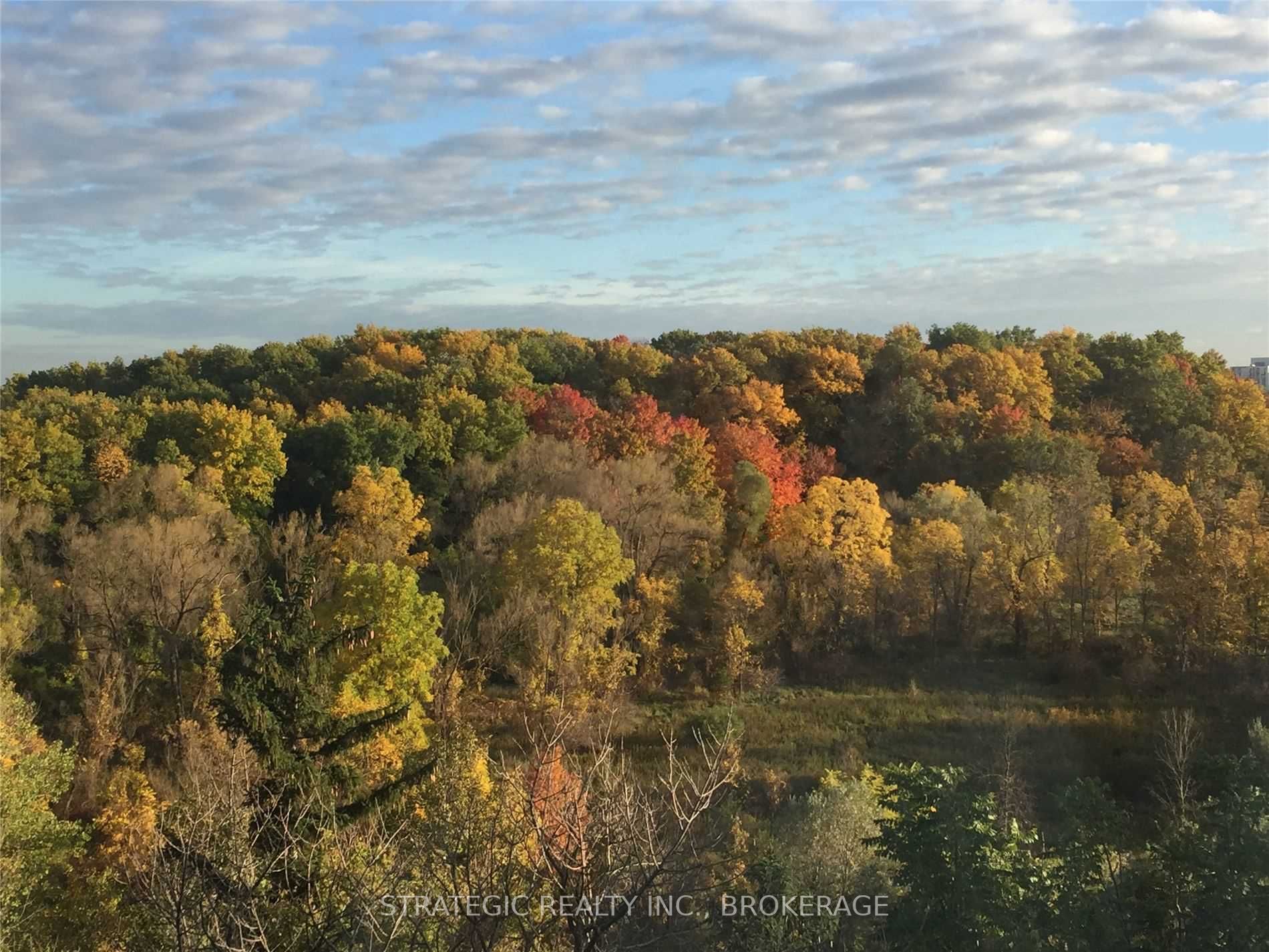 Listing W6025229 - Large Photo # 2