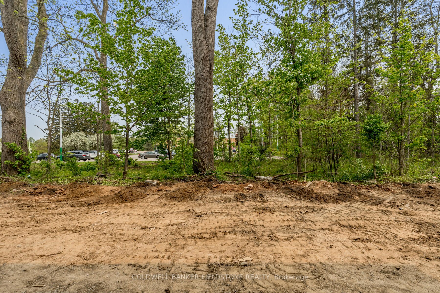 Listing W6026312 - Large Photo # 33