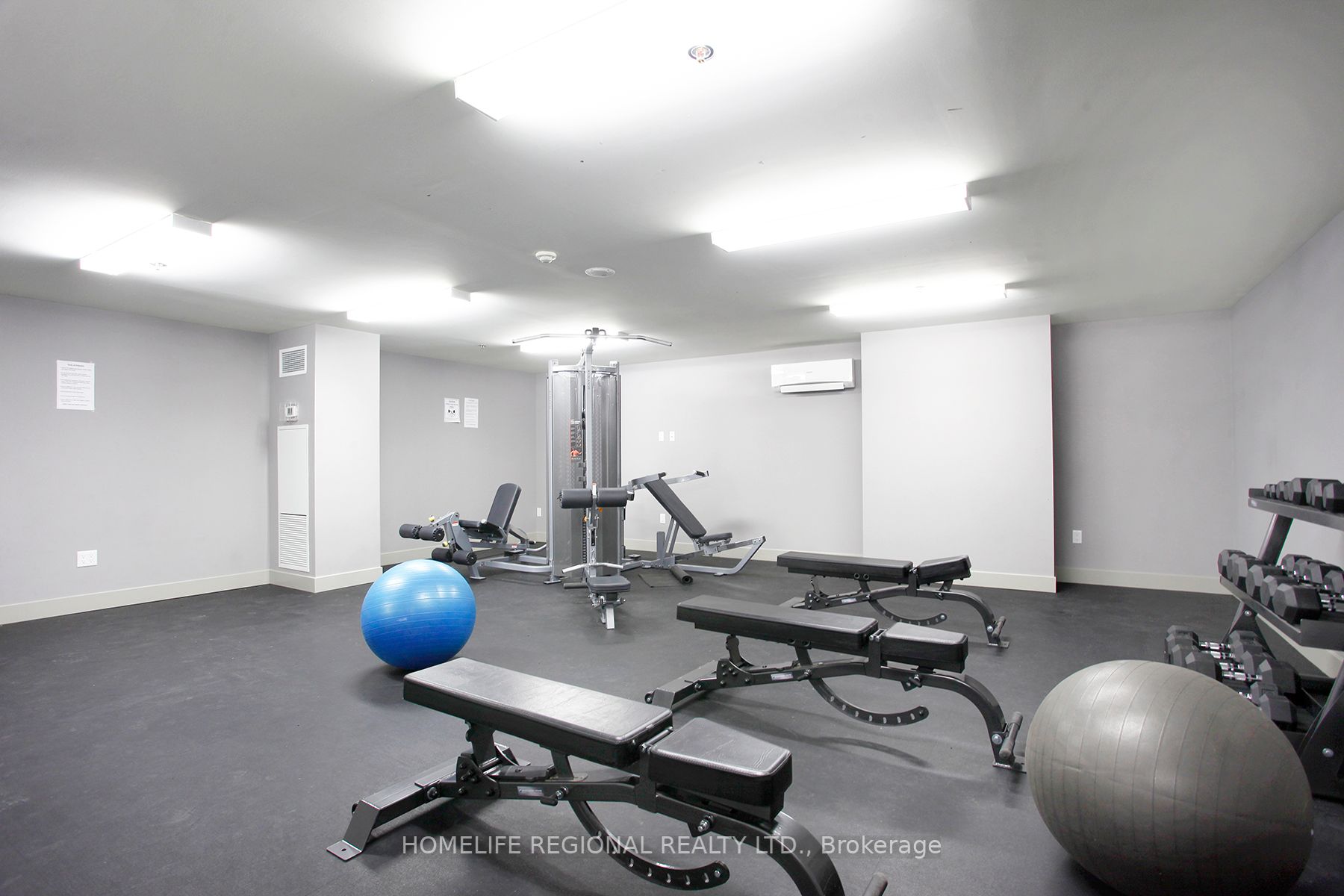 816 Lansdowne Ave, #1015