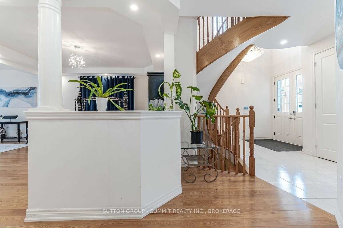 20 Pellegrino Rd