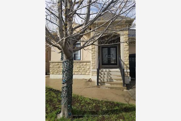 18 Mount Royal Circ, Brampton
