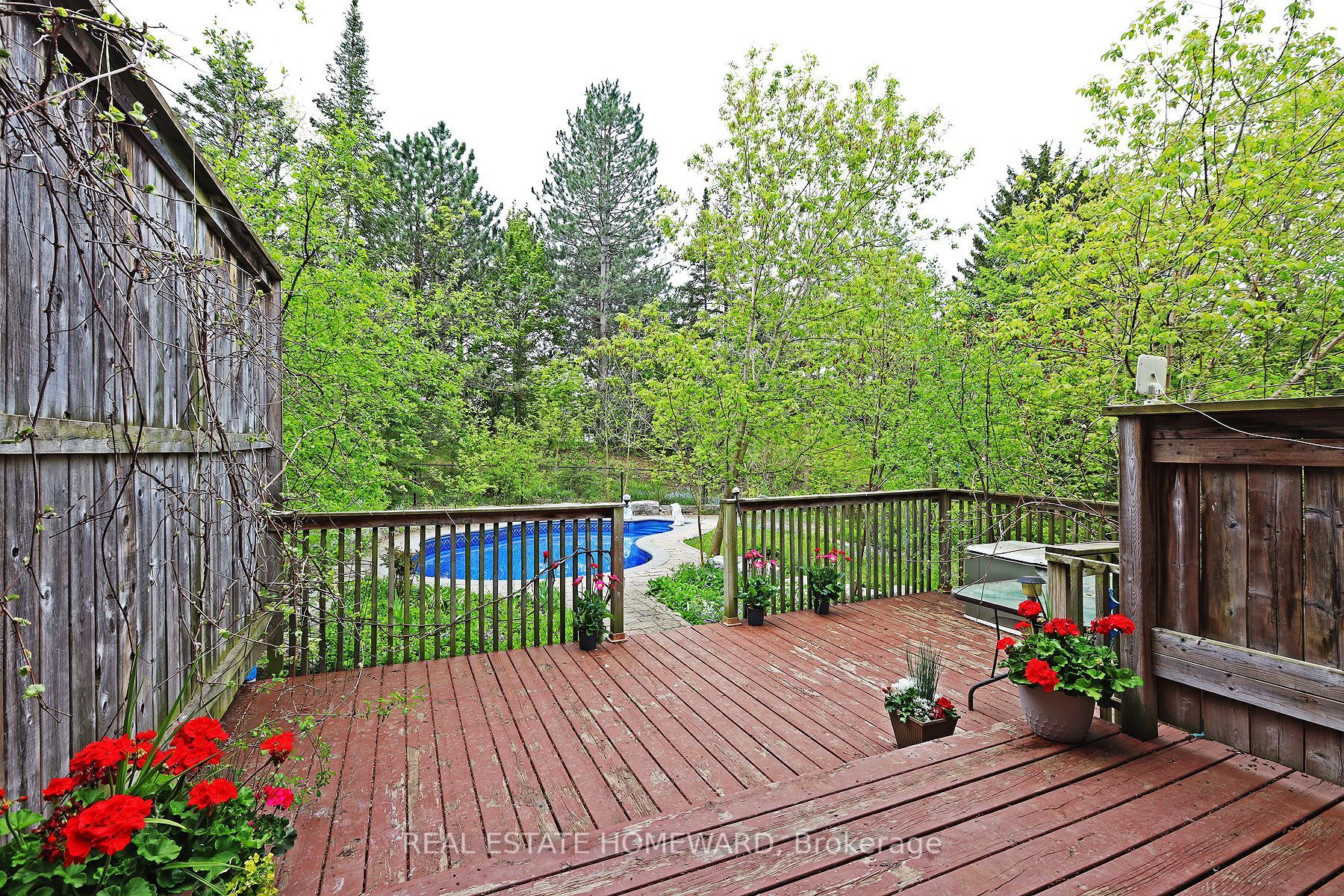 Listing W6035876 - Large Photo # 17