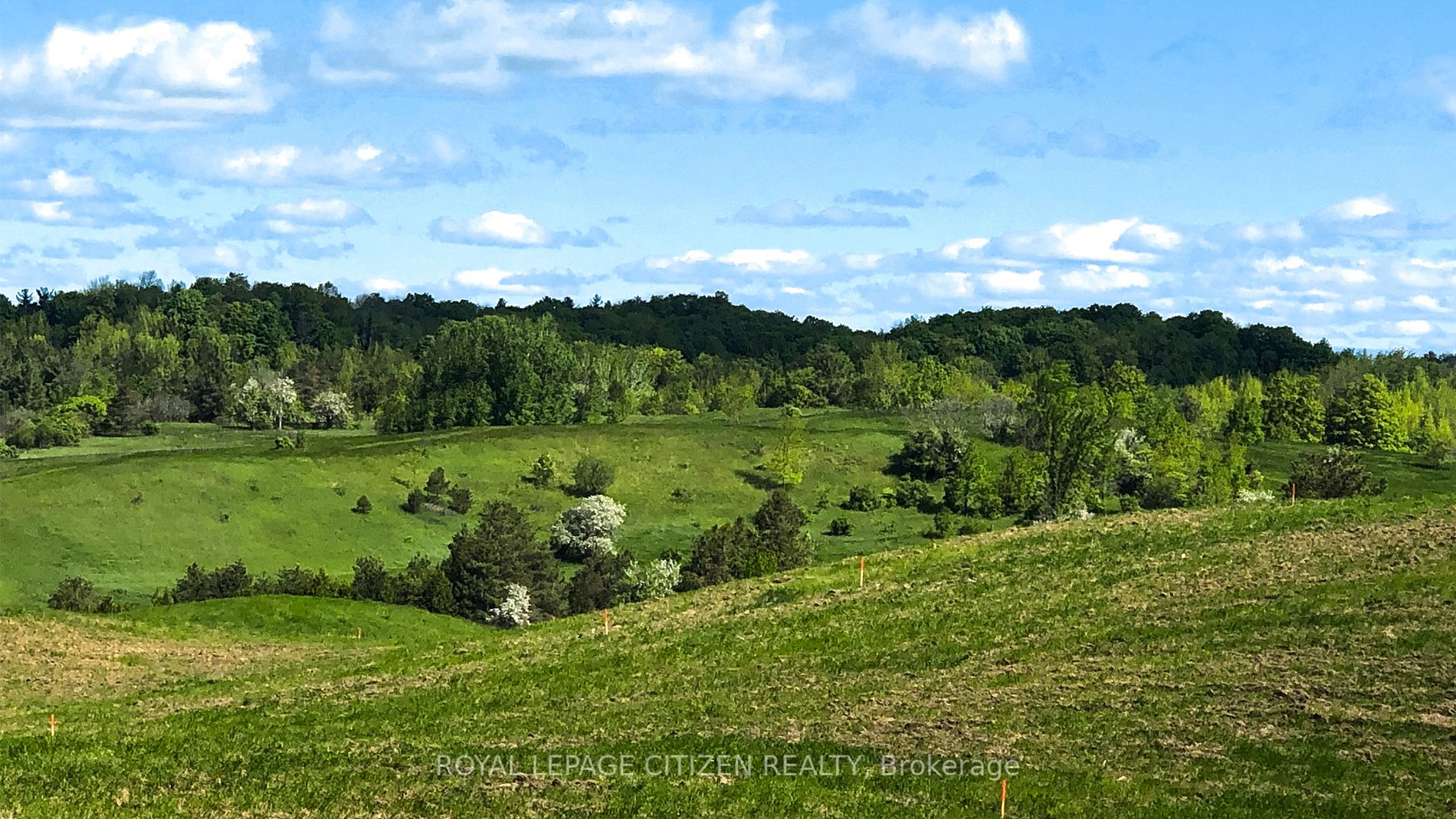 Listing W6037620 - Large Photo # 2