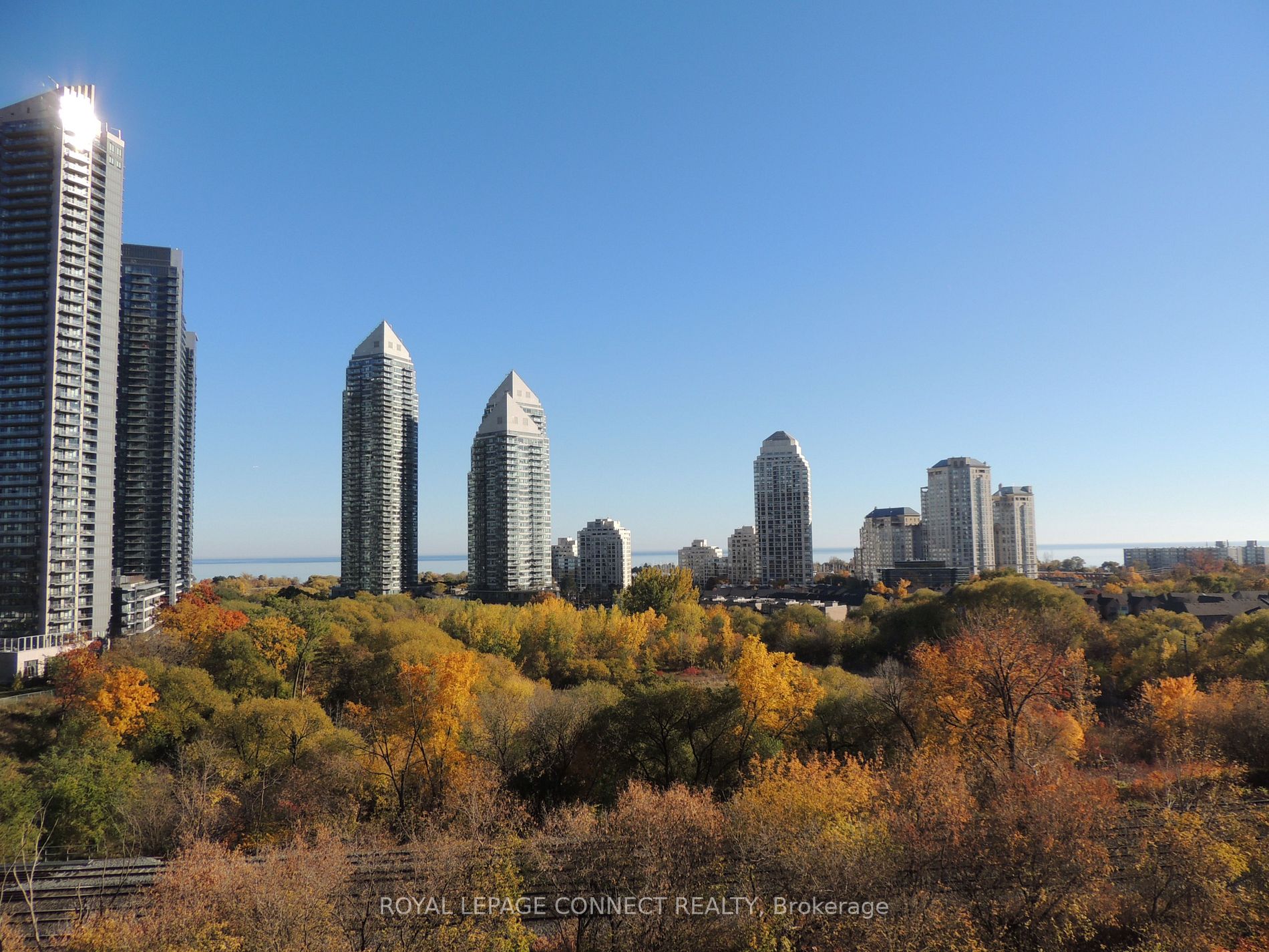 Listing W6038496 - Large Photo # 10