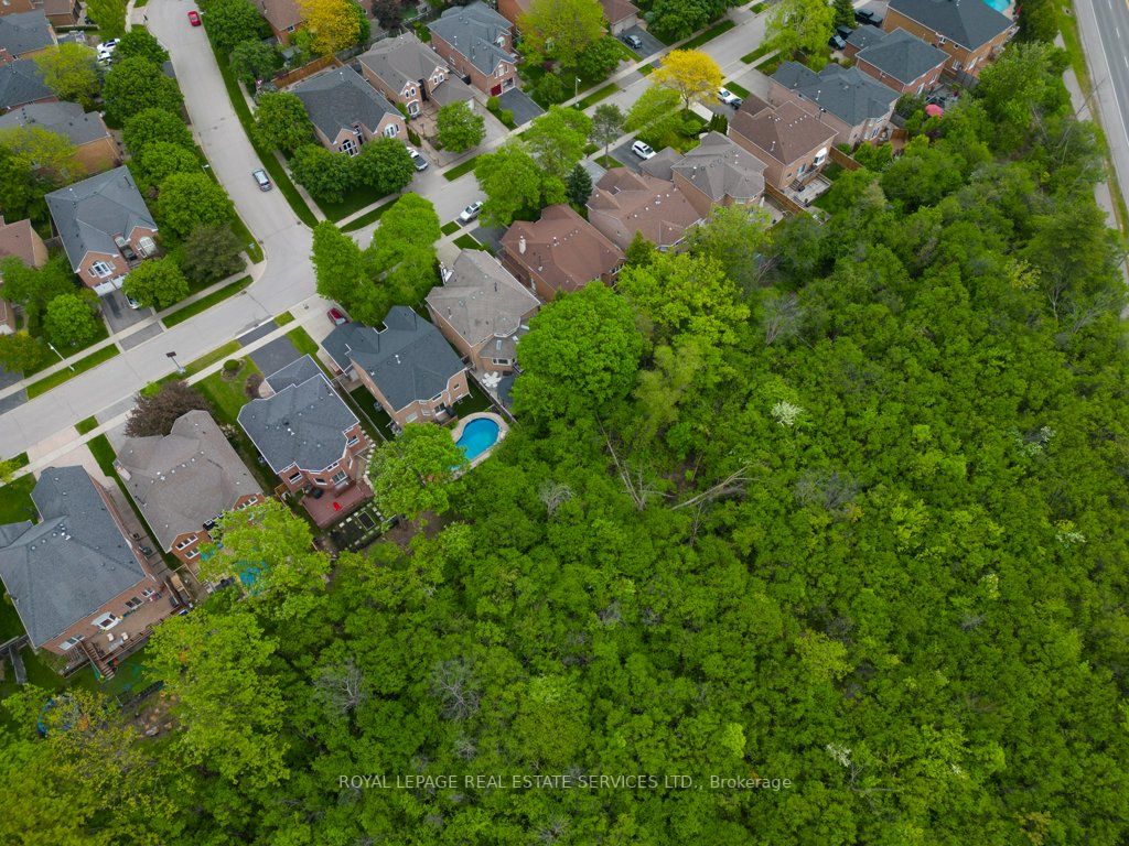 Listing W6041532 - Large Photo # 34