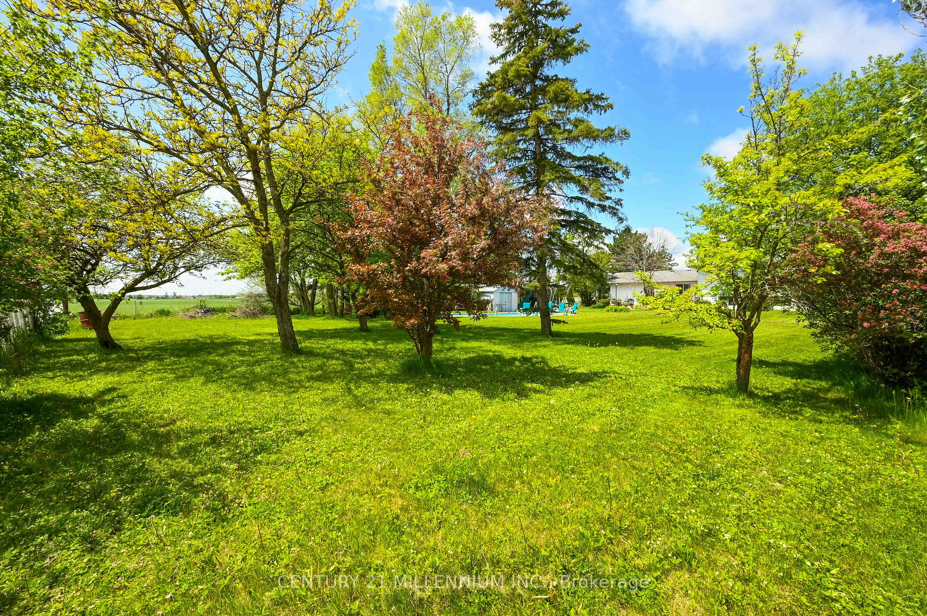 Listing W6042152 - Large Photo # 36