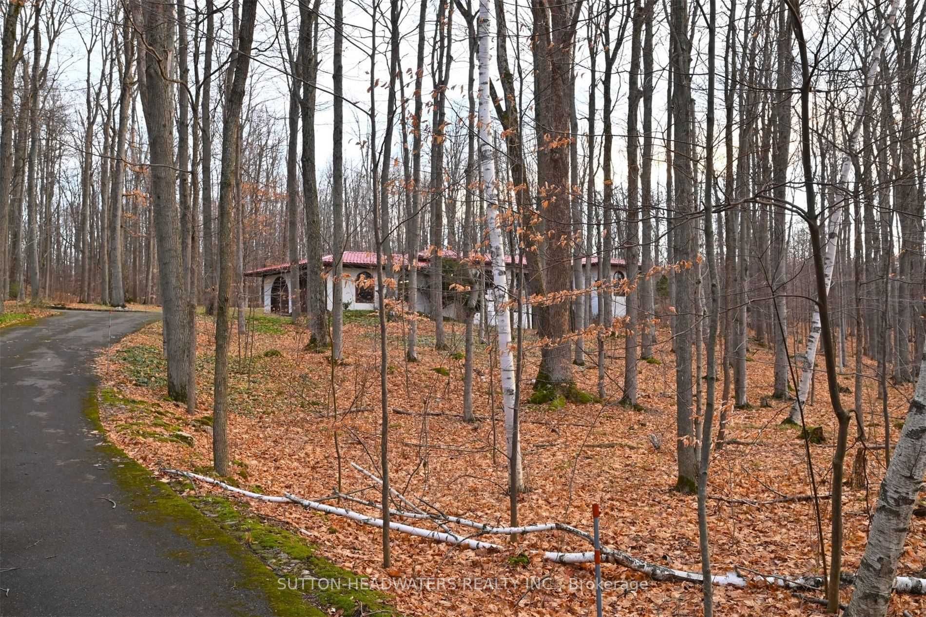Listing W6043907 - Large Photo # 35