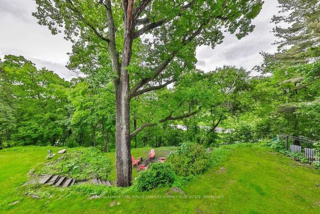 Listing W6044149 - Large Photo # 28