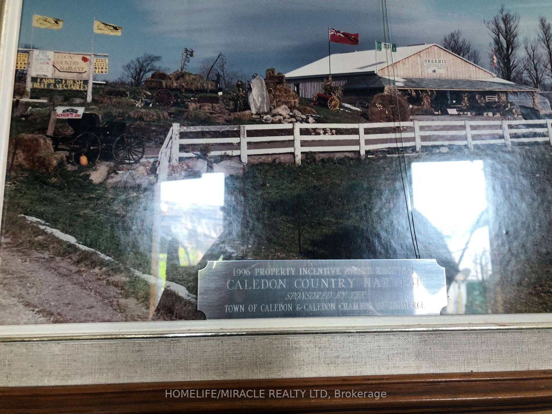 Listing W6046160 - Large Photo # 7