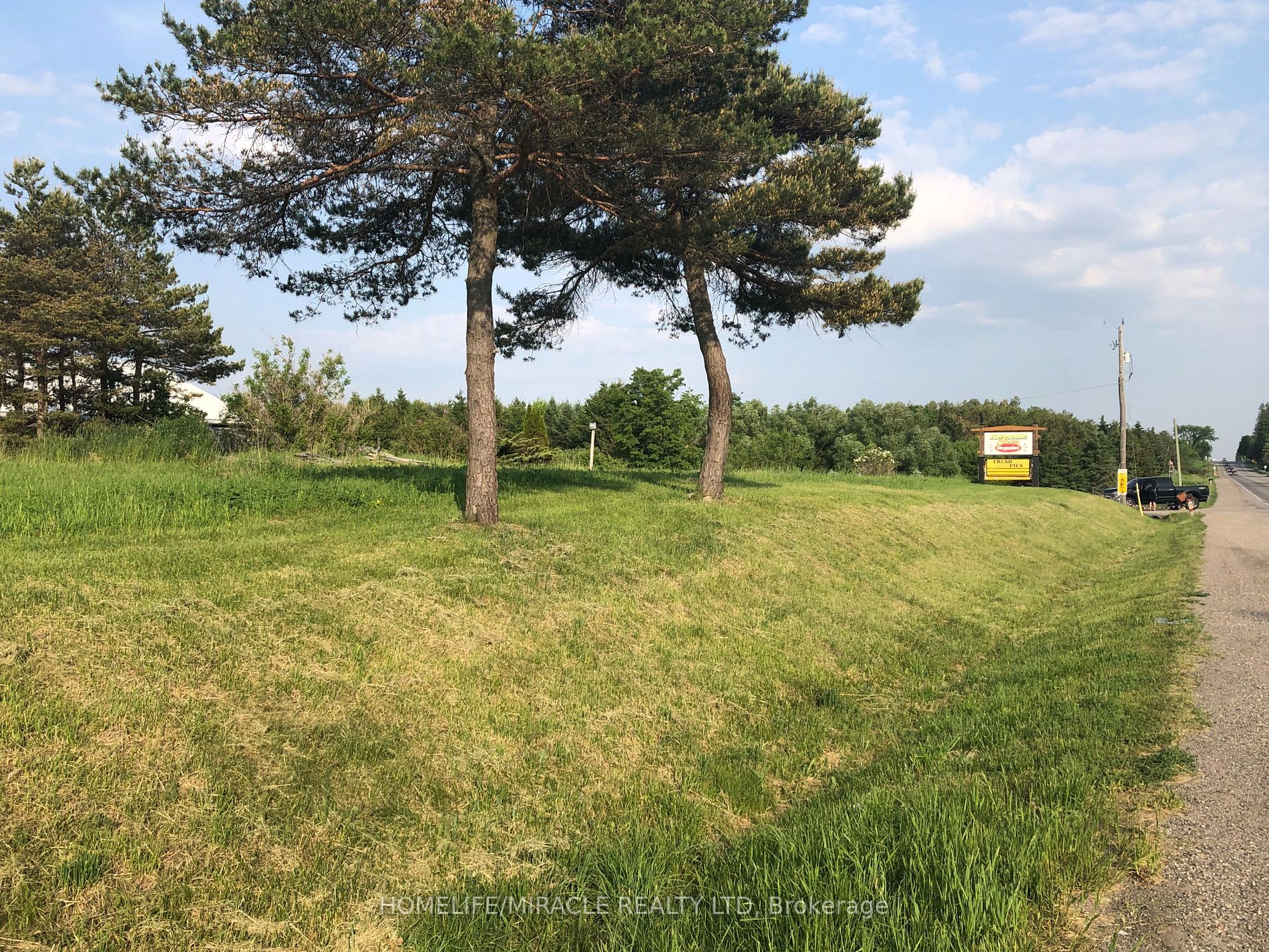 Listing W6046160 - Large Photo # 25
