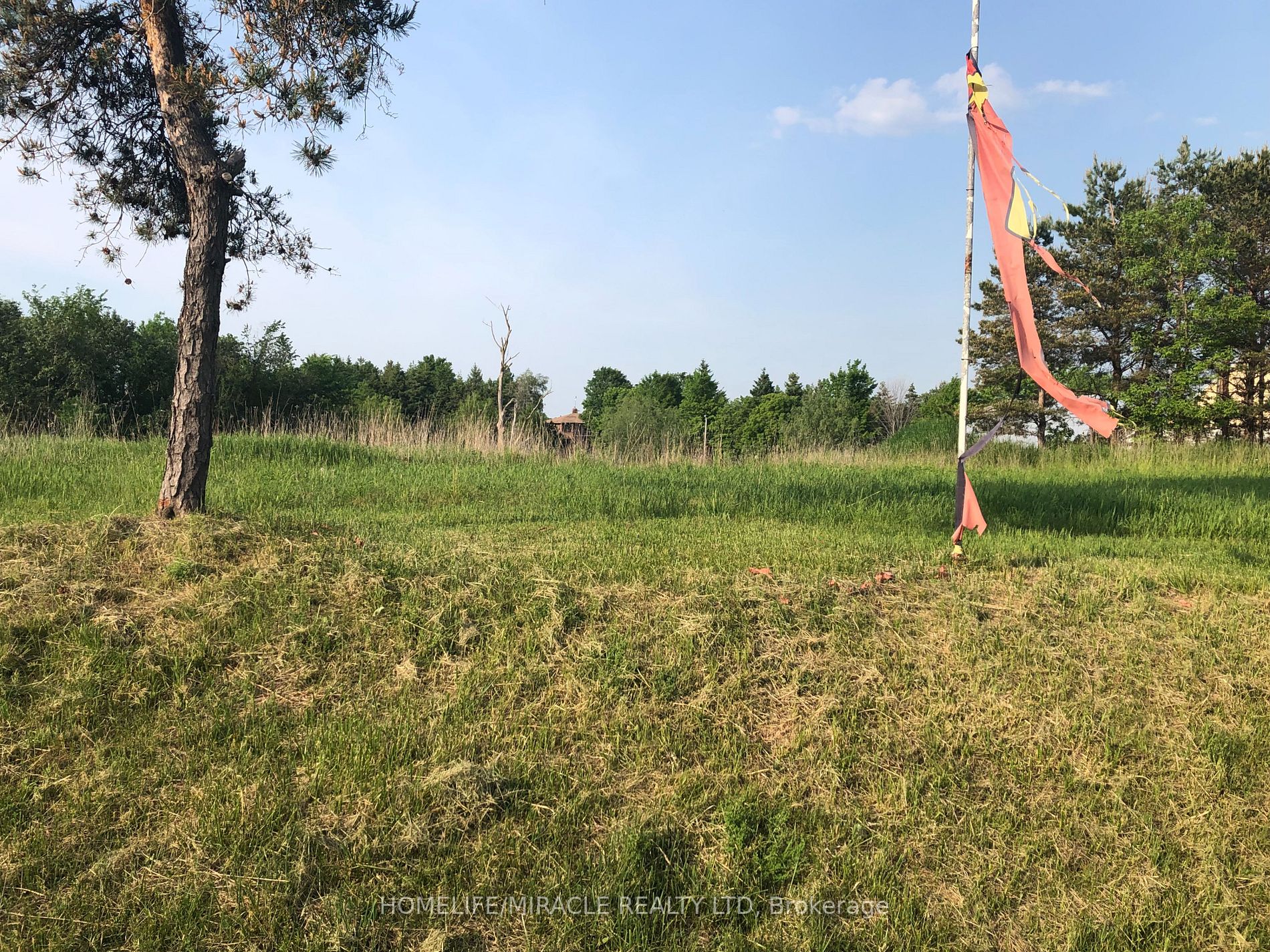 Listing W6046160 - Large Photo # 27