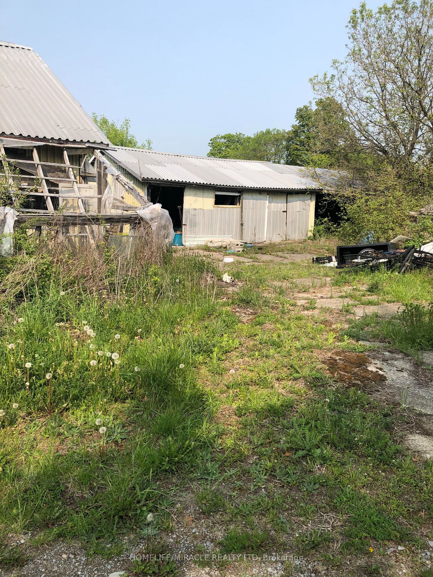 Listing W6046160 - Large Photo # 12
