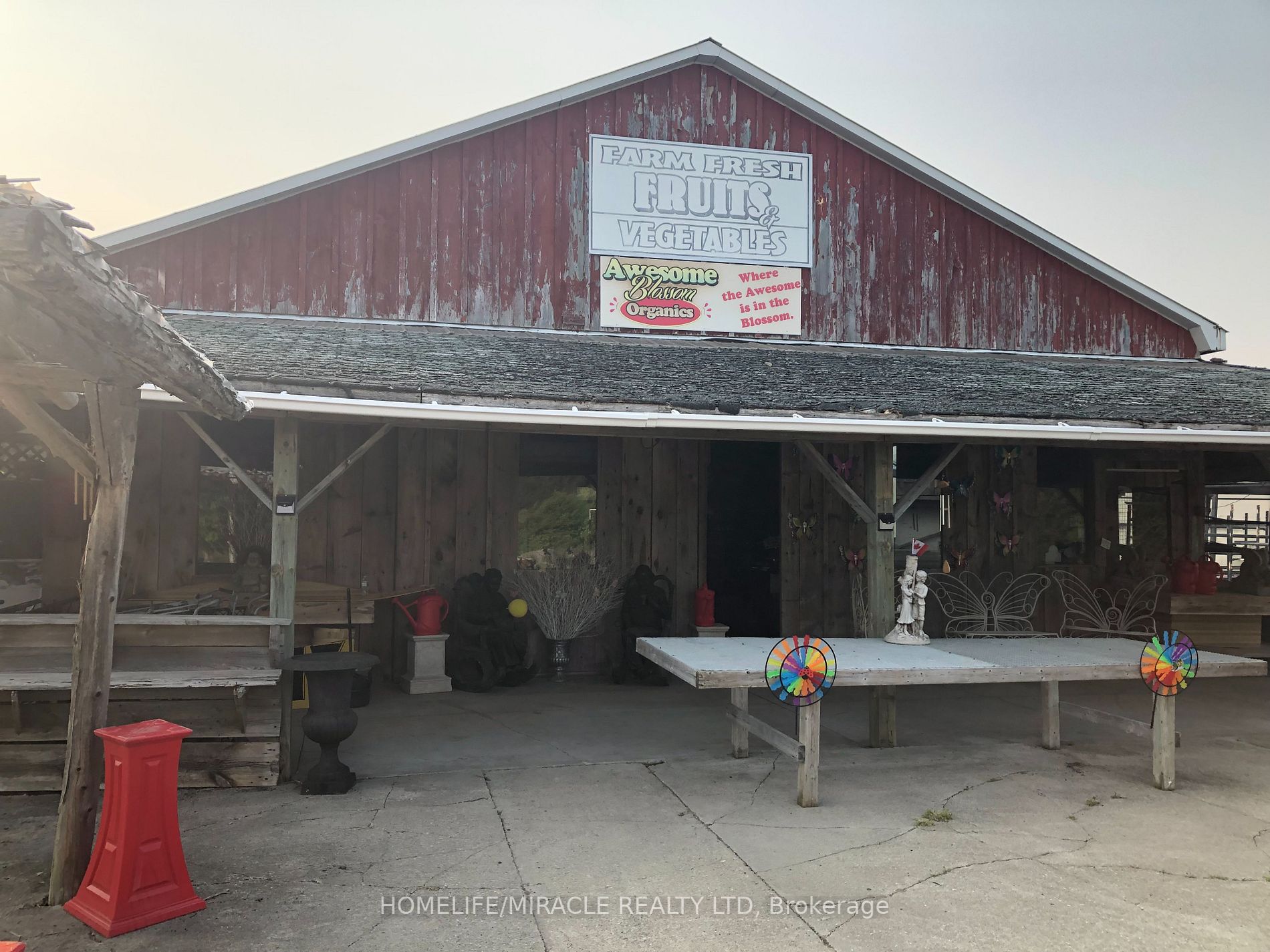 Listing W6046160 - Large Photo # 8
