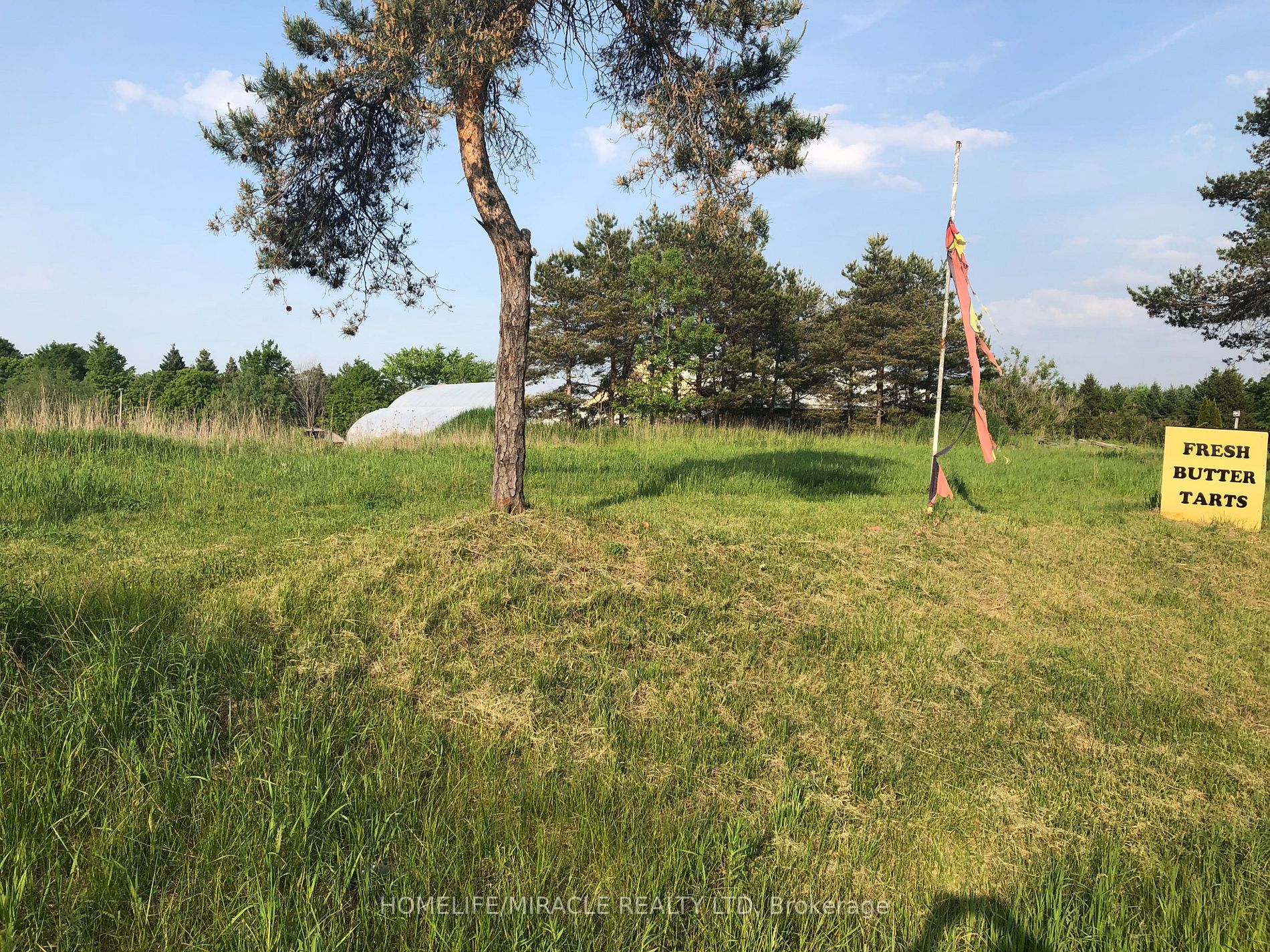 Listing W6046160 - Large Photo # 28