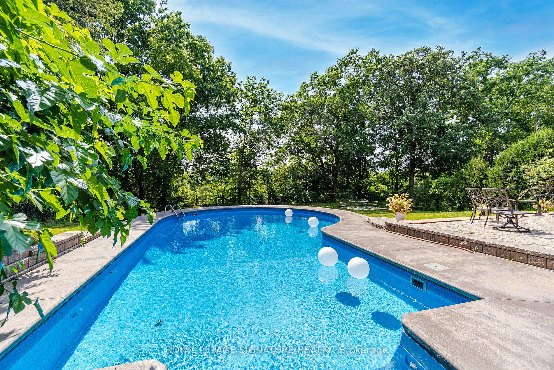 Listing W6046896 - Large Photo # 31