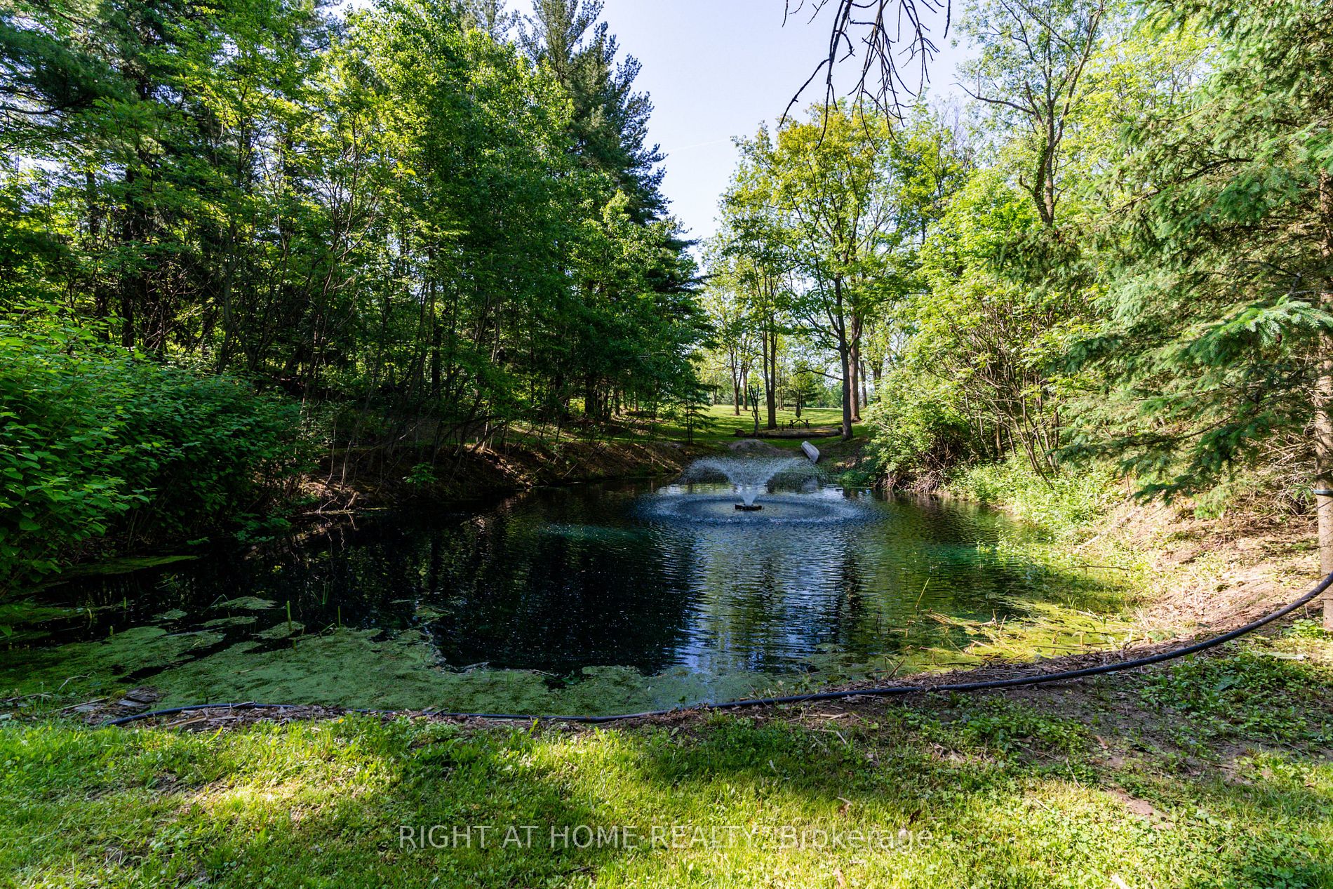 Listing W6047208 - Large Photo # 28