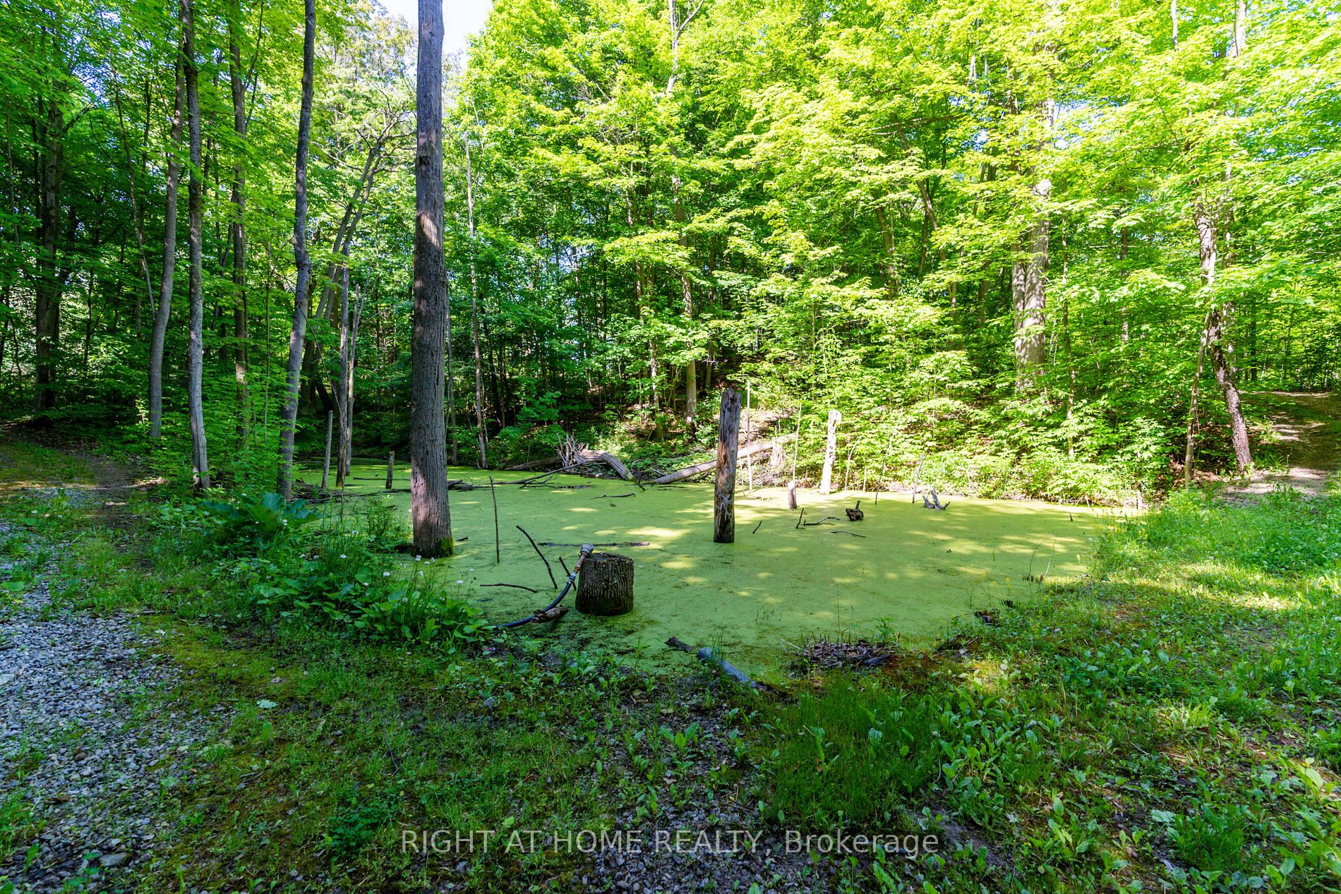 Listing W6047208 - Large Photo # 29