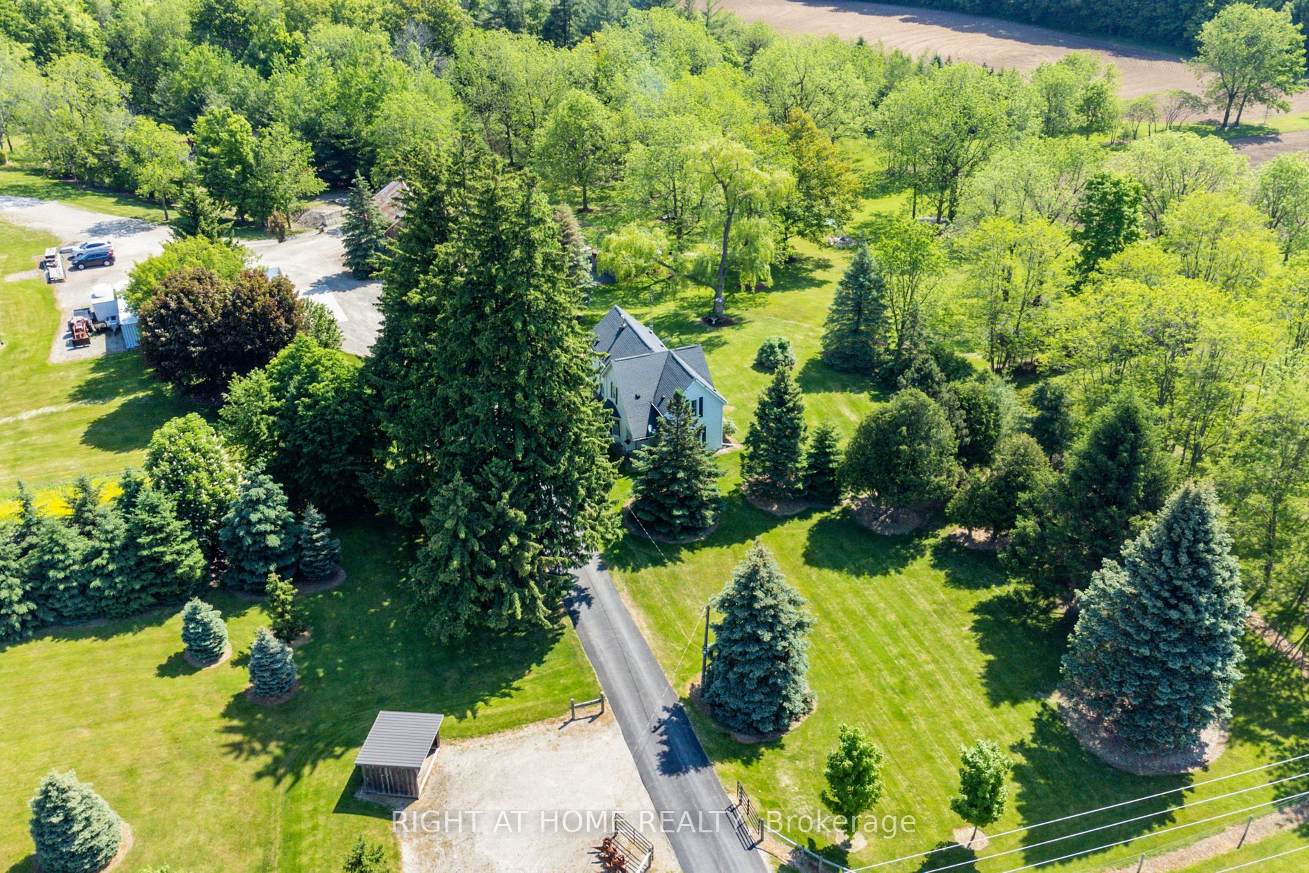 Listing W6047360 - Large Photo # 7