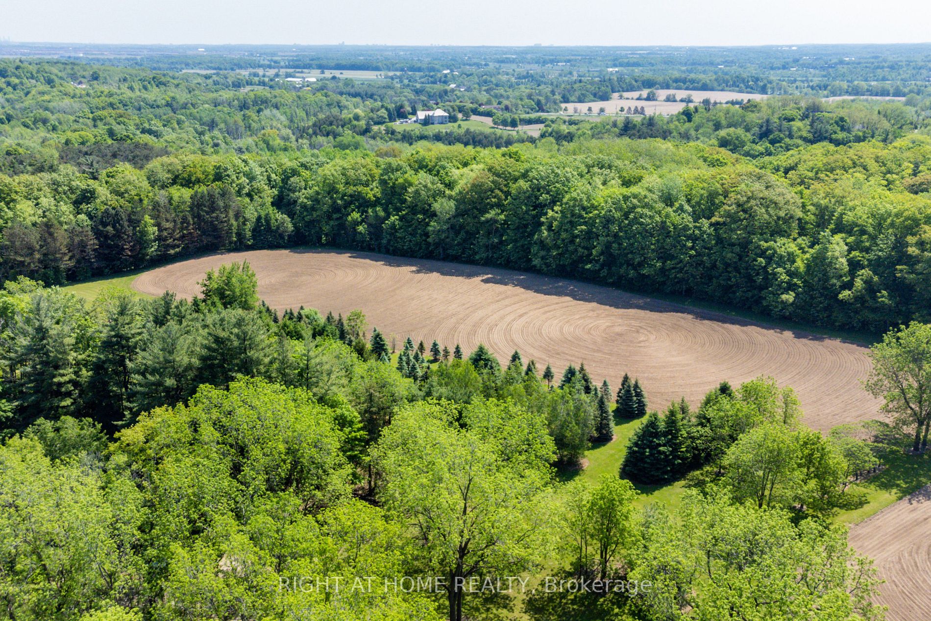 Listing W6047360 - Large Photo # 6
