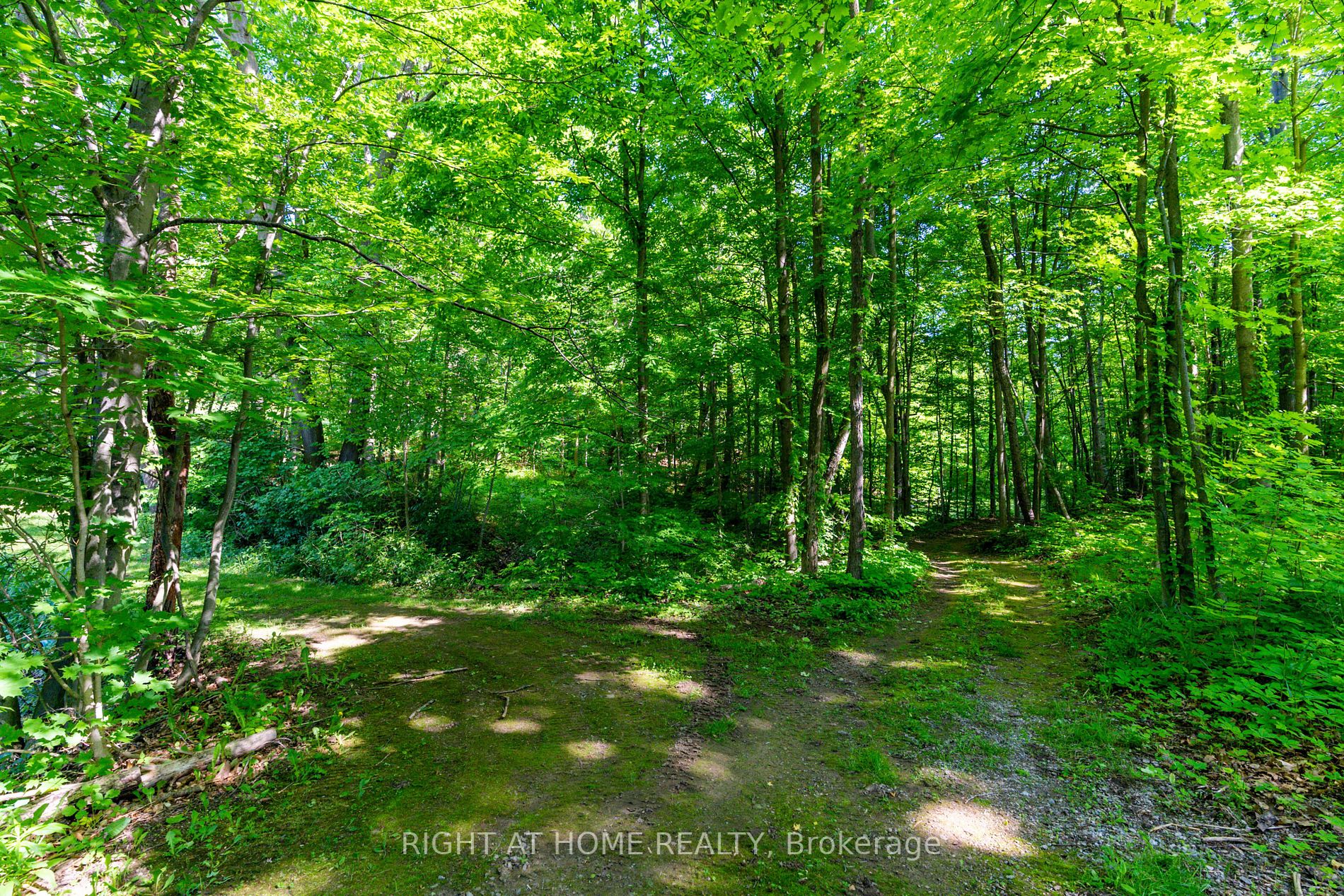 Listing W6047360 - Large Photo # 31