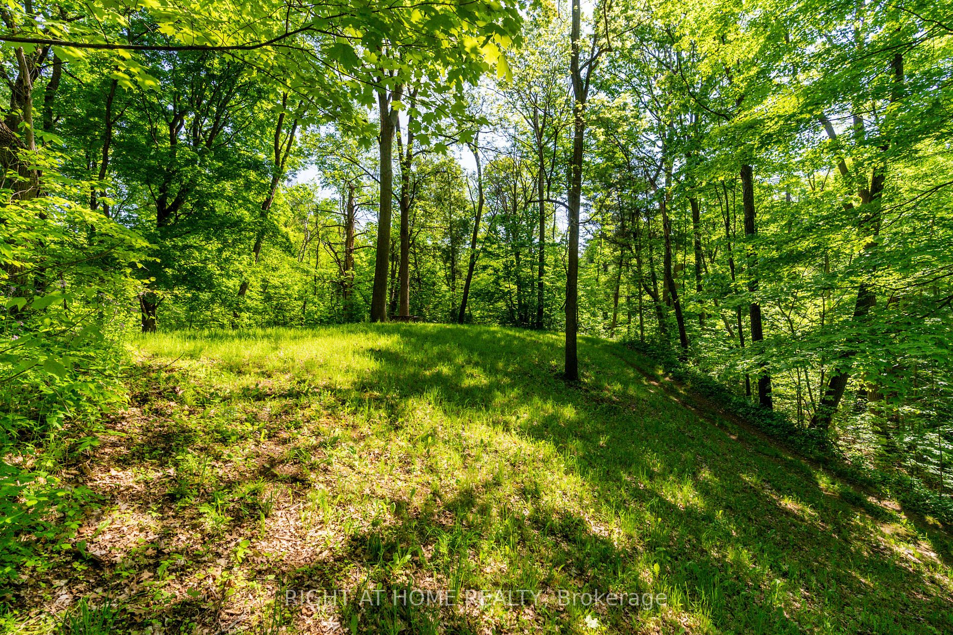 Listing W6047360 - Large Photo # 38