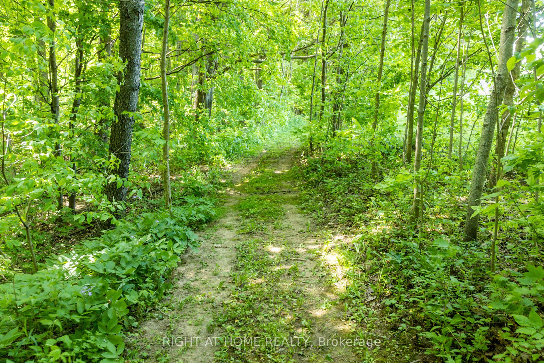 Listing W6047360 - Large Photo # 37