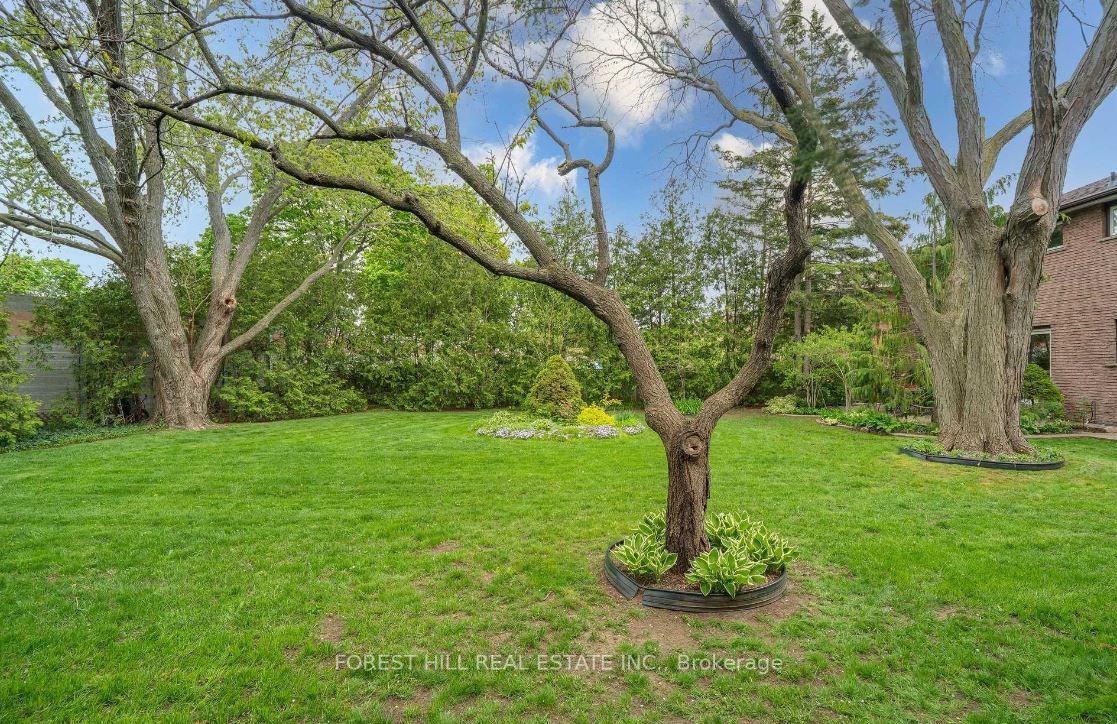 Listing W6047916 - Large Photo # 38