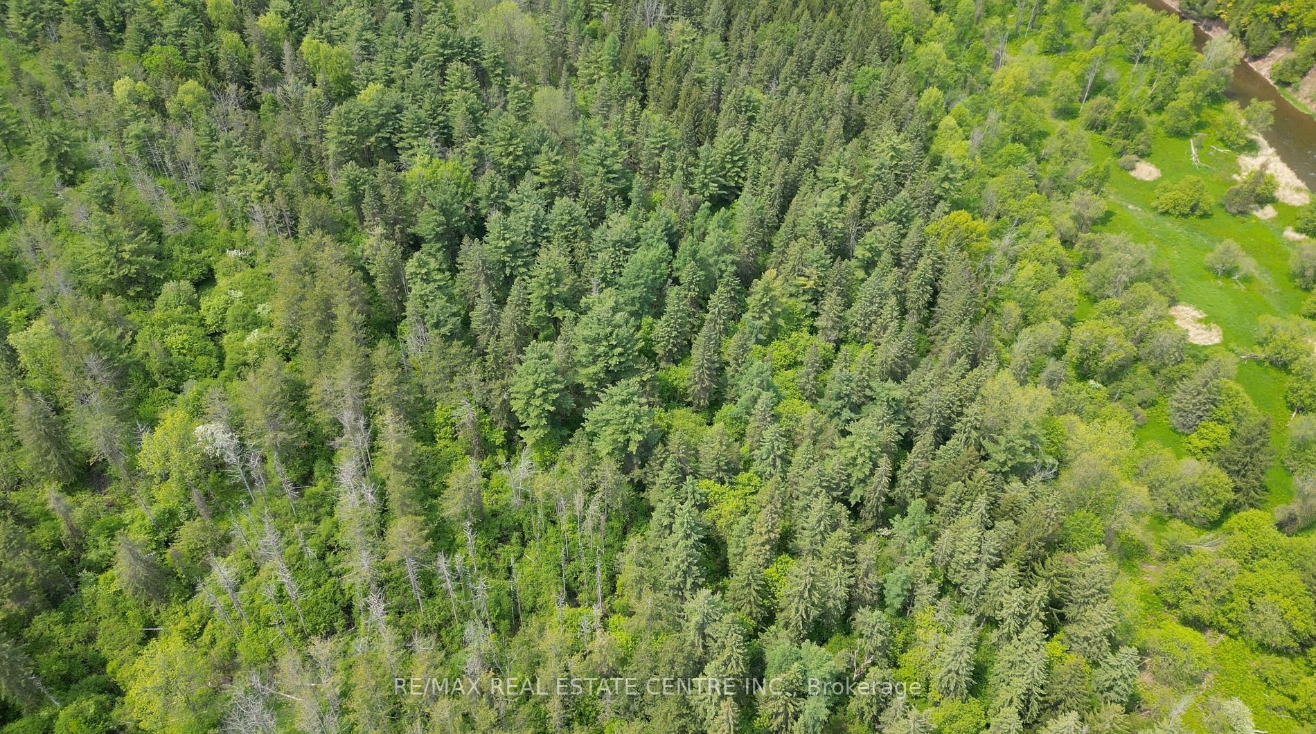 Listing W6048800 - Large Photo # 35