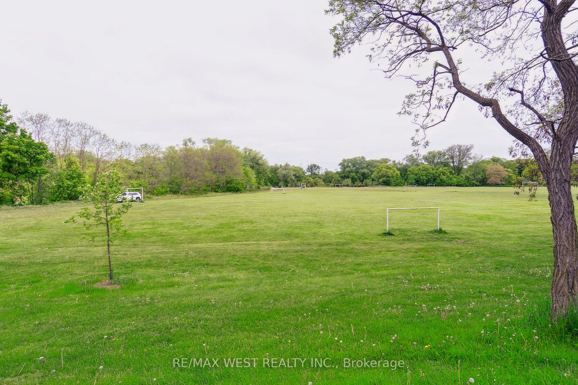 Listing W6051544 - Large Photo # 8