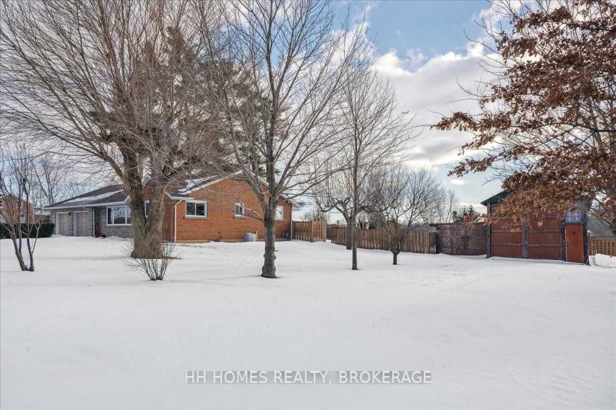 Listing W6052663 - Large Photo # 32