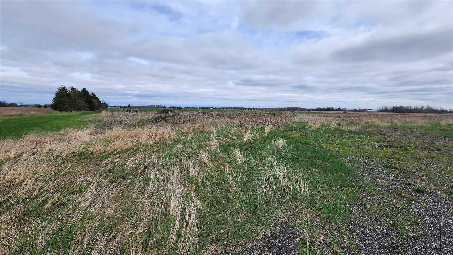 Listing W6052917 - Large Photo # 2