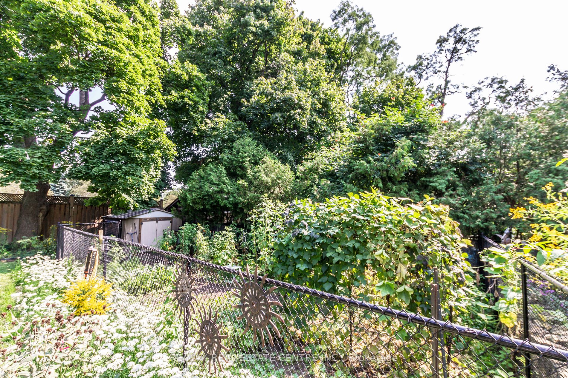 Listing W6054880 - Large Photo # 36