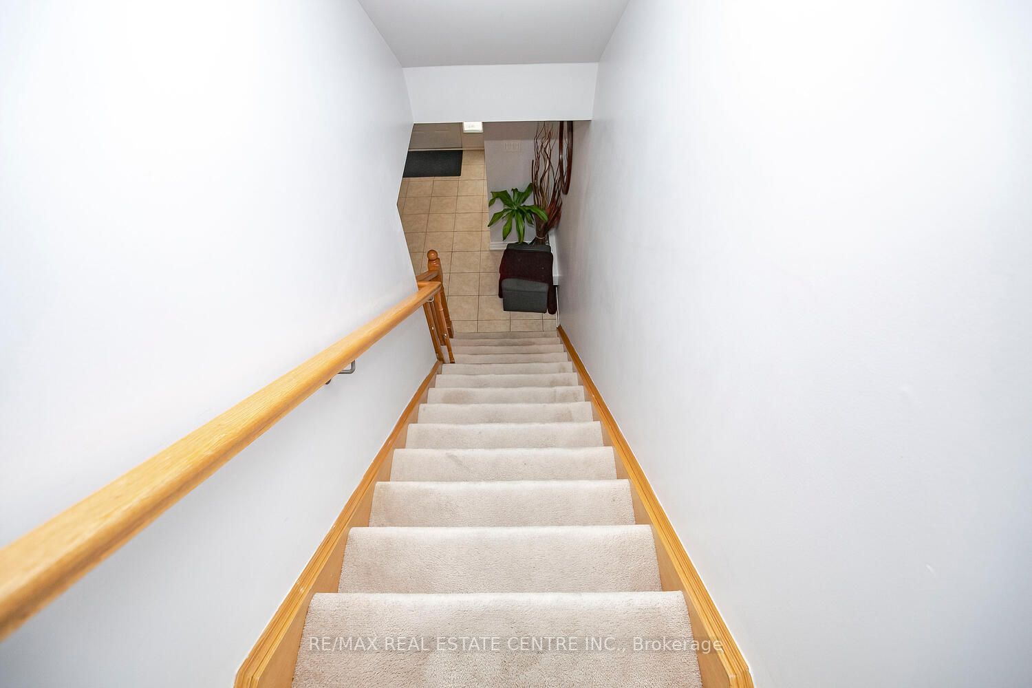 229 Remembrance Rd